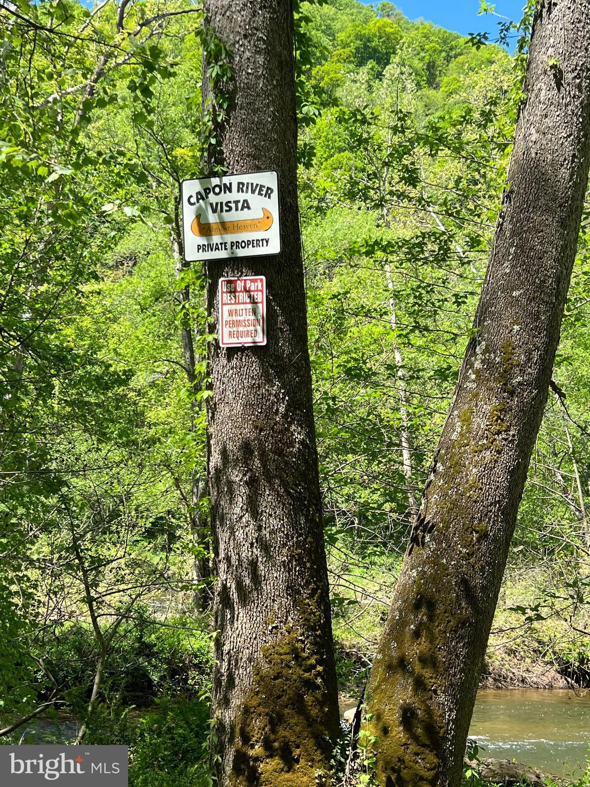 CACAPON RIVER VISTA - Residential