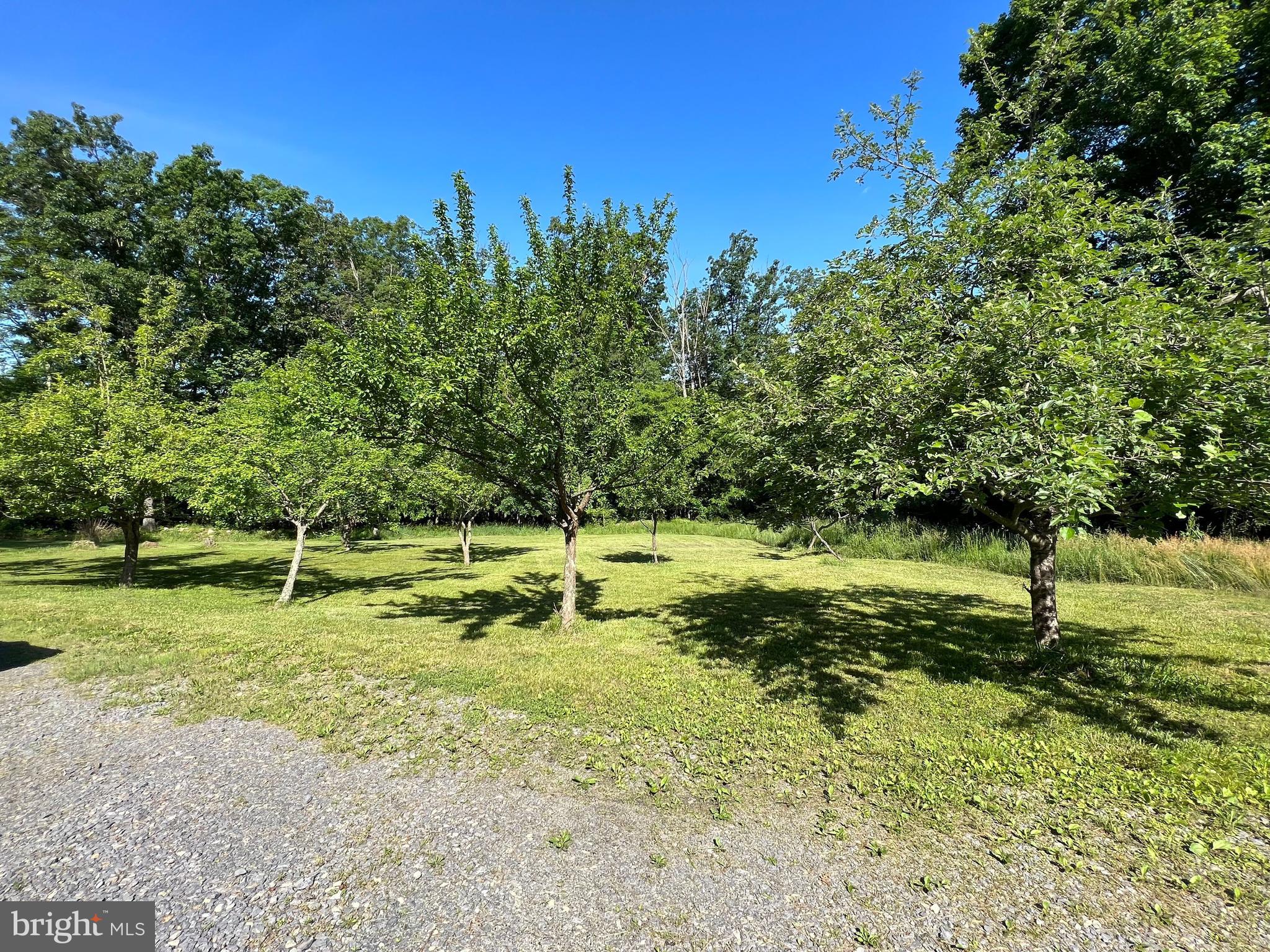 CACAPON RIVER VISTA - Residential