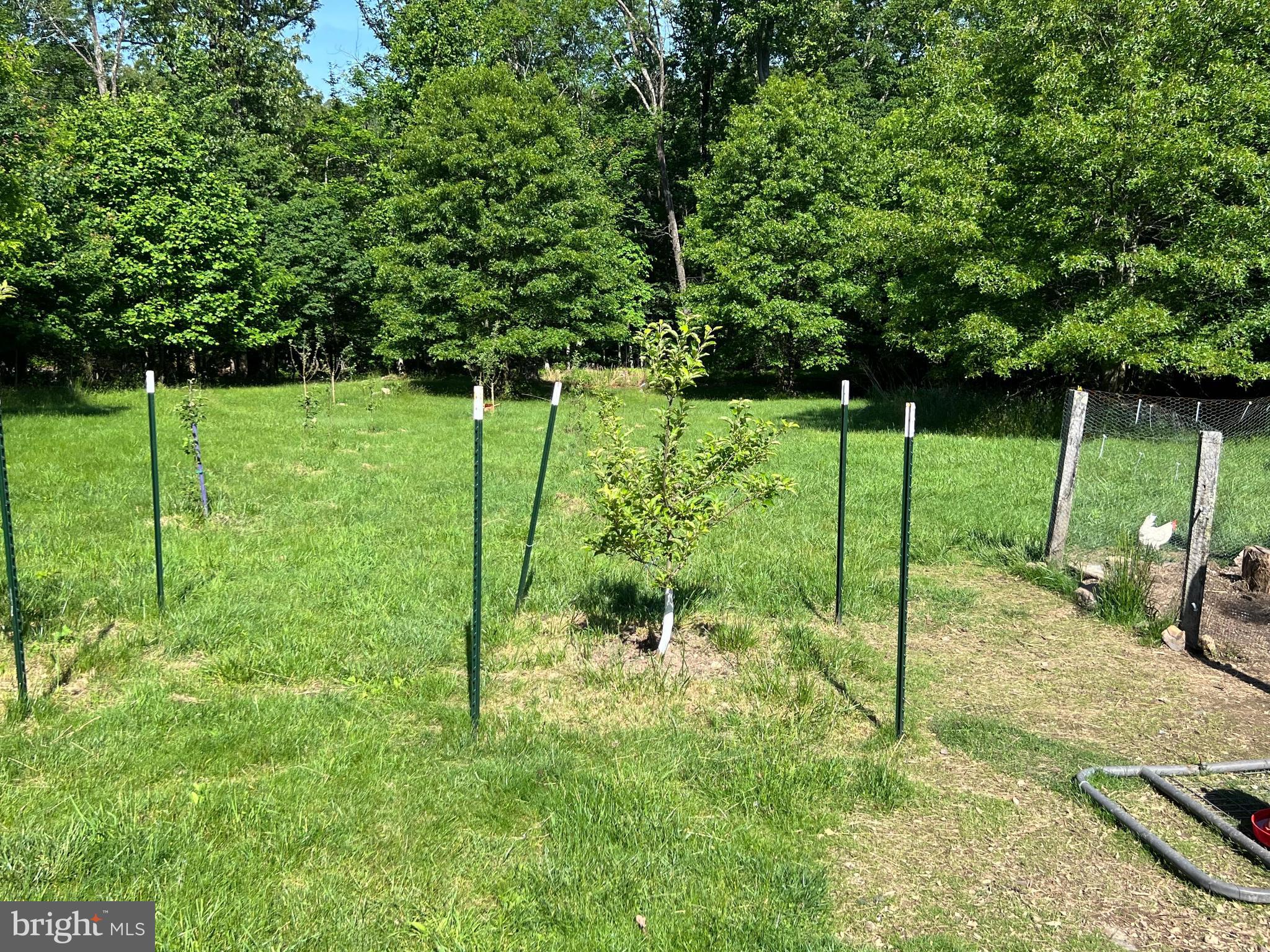 CACAPON RIVER VISTA - Residential