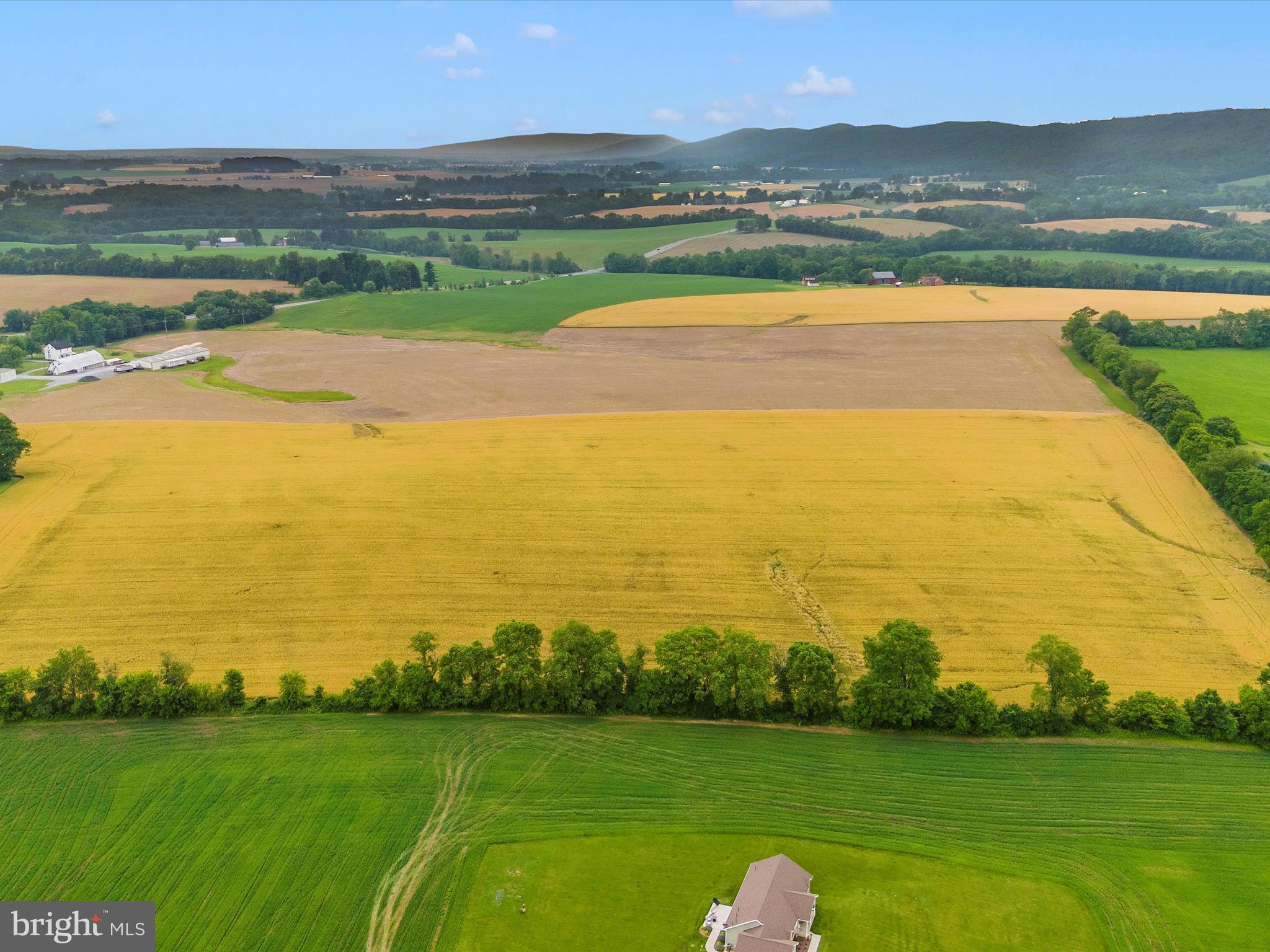 NONE AVAILABLE - Farm