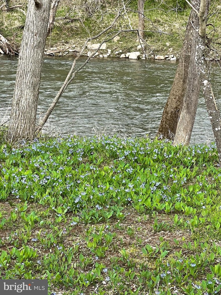 Week-end retreat? Air B&B?  Absolutely the perfect place located on the beautiful Cacapon River.  The Cacapon River is known for its fishing, boating, wildlife, and scenery. Renowned for its smallmouth bass fishing, swimming and leisurely canoe trips.  This is a rare find conveniently located just east of Capon Bridge off Route 50. You will feel like you are miles from civilization but just a short ride to stores, gas restaurants.   Enjoy 210' of private well-kept river frontage on .85 level, cleared, and unrestricted acres!   The almost new 2021 Keystone Outback 37' Travel Trailer conveys with property complete with septic, public water, and electric.  All of the work is done for you. Sit out on the front deck and enjoy the wildlife, sunsets, and mountain views or sit on back deck overlooking the river and enjoy the quiet and privacy in your own back yard.