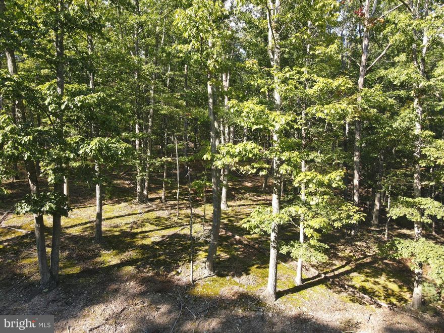 Located in the beautiful mountains of Lost River, you will find this 6.4 acre lot that has road frontage on 2 sides. The land is rich with beautiful hardwood trees and is that ideal spot where you can build your dream forever home or weekend refuge. The options are endless. Enjoy the privacy of living in Trout Pass and relax as you watch the wildlife that roams your land. You will truly understand why West Virginia is Almost Heaven when you are taking in the nature surrounding you. This piece of heaven may feel like a world away, but you are located close to so many recreational opportunities these mountains have to offer. This property is located less than a half hour from Lost River State Park, about an hour from Seneca Rocks and Bryce Ski Resort,  and not quite an hour and a half from Black Water Falls and Canaan Valley Resort. Lot 3 Trout Pass is 2 hours from the Dulles Airport.