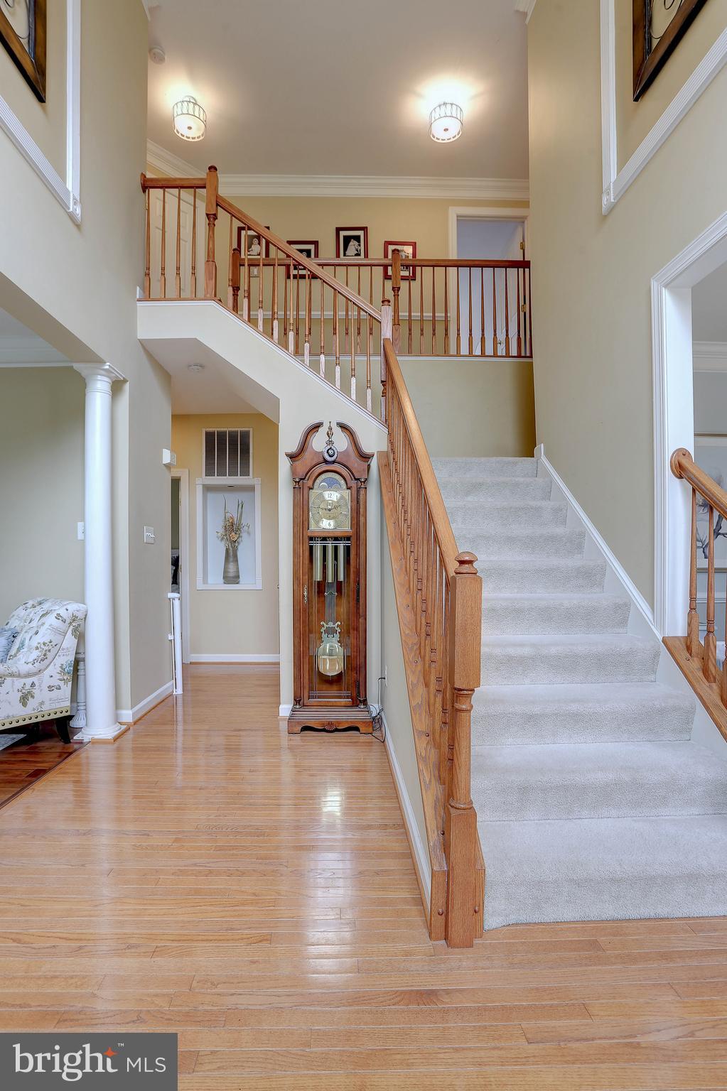 2905 BALLESTERAS COURT
