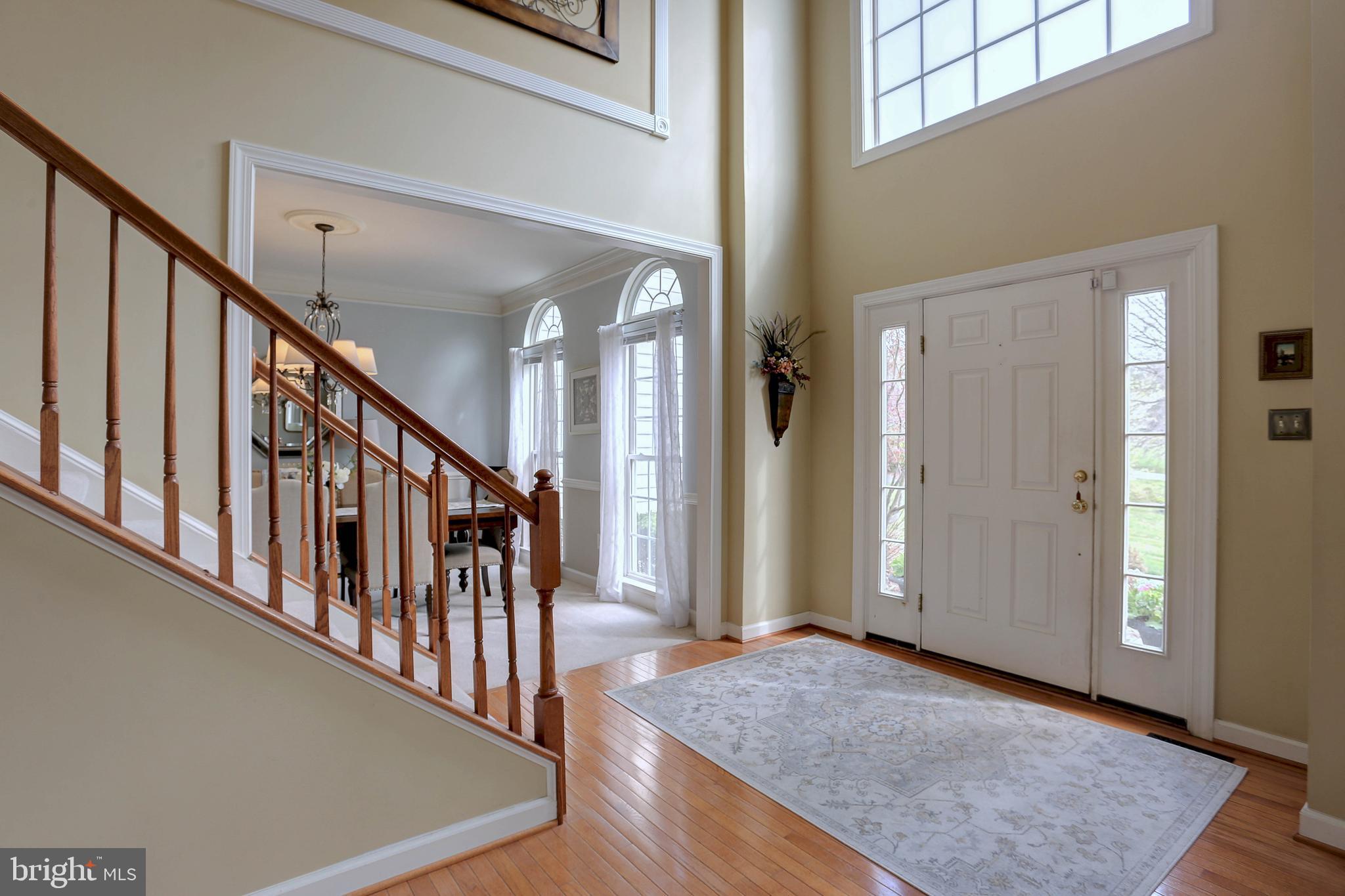 2905 BALLESTERAS COURT