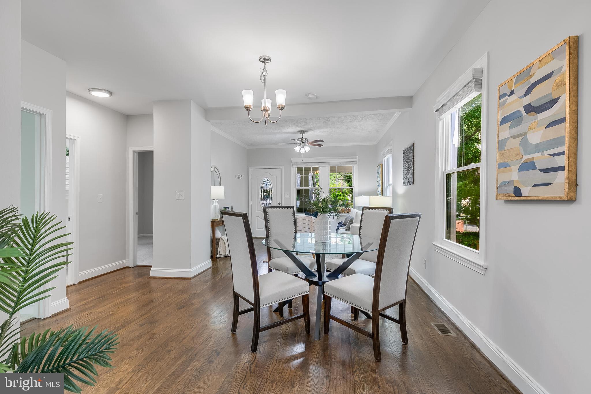 MT RAINIER - Residential