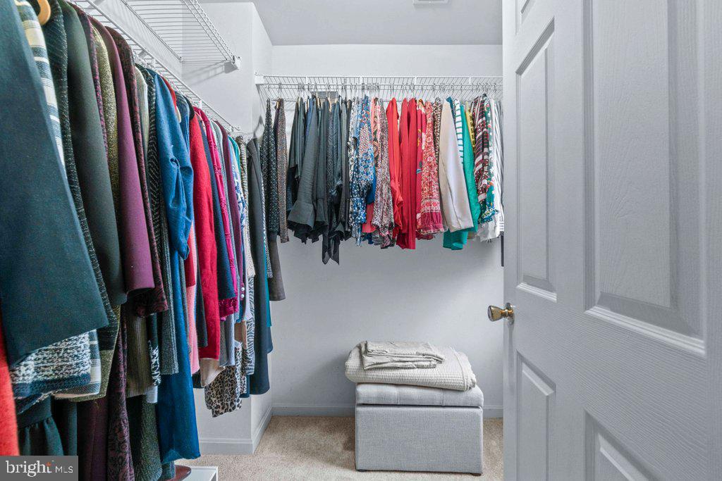 SPRINGS AT PERRY HALL - Residential