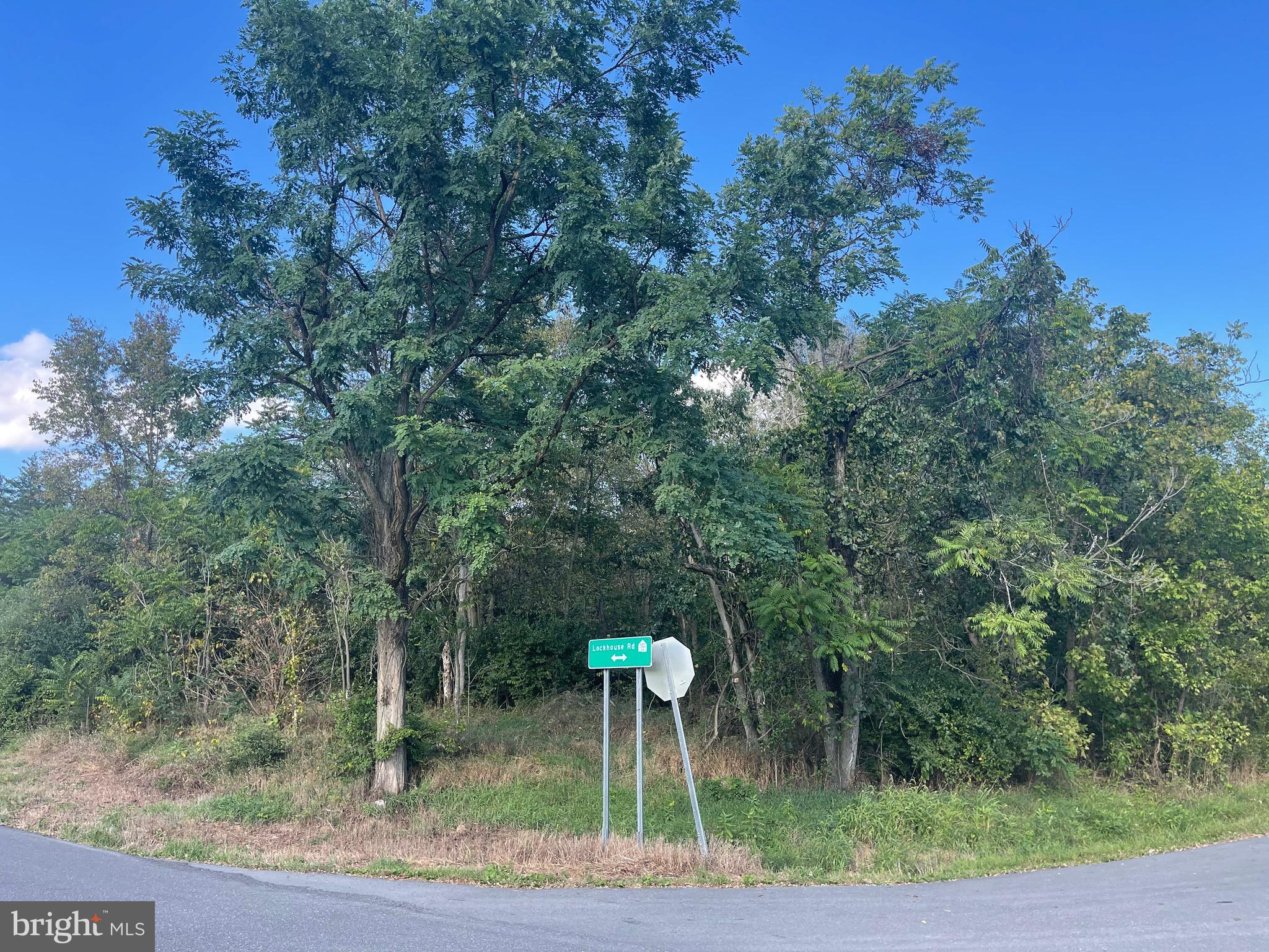 POTOMAC HEIGHTS - Land