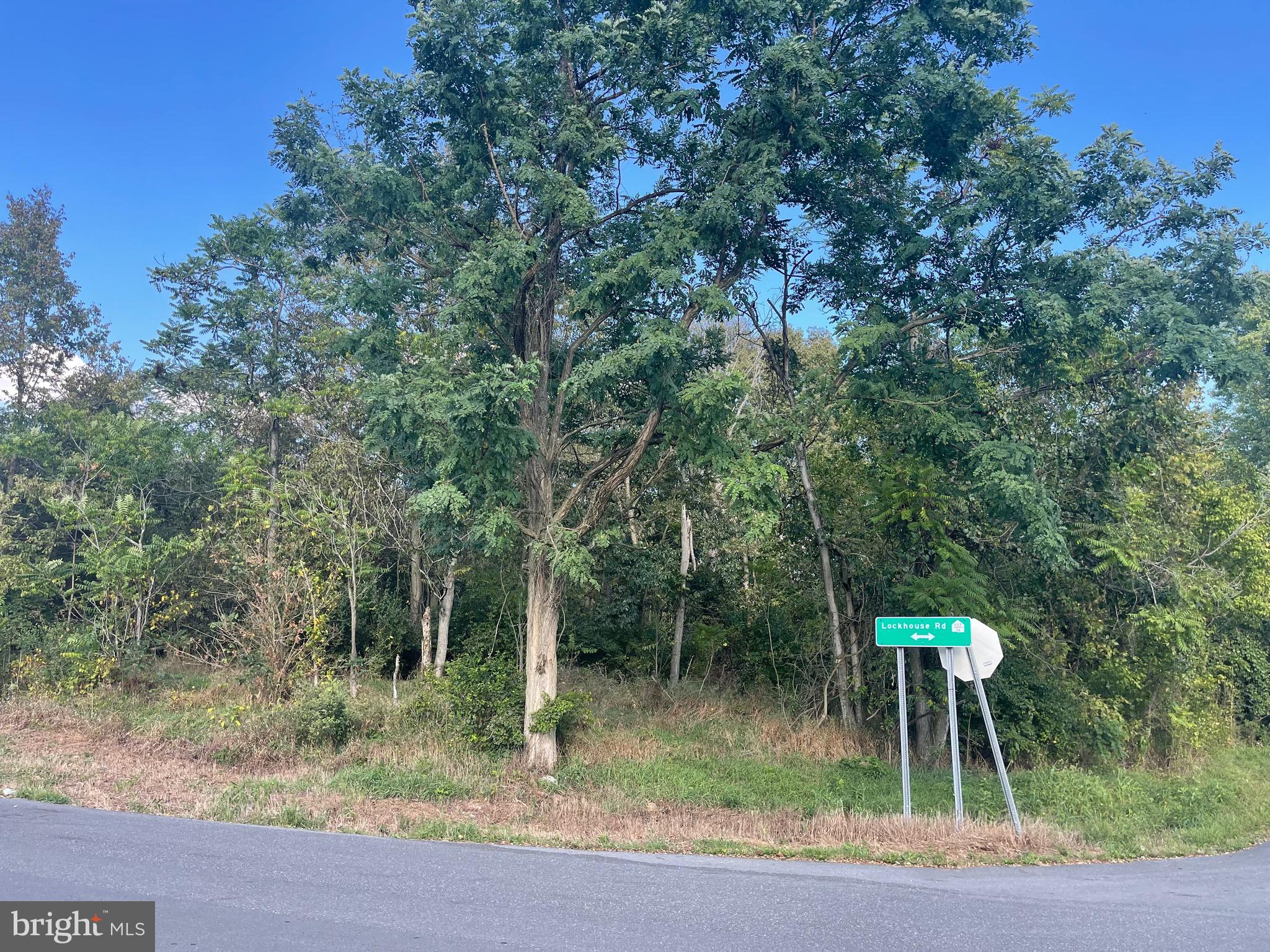 POTOMAC HEIGHTS - Land