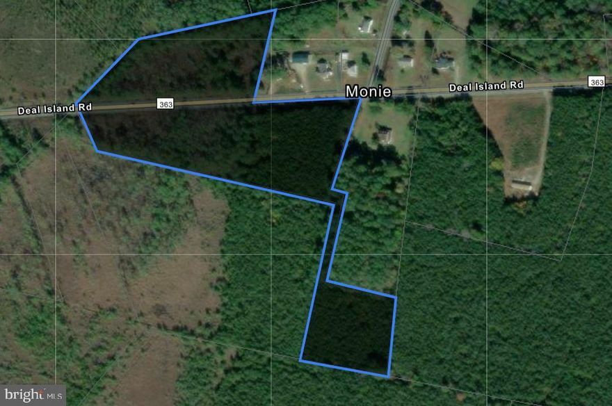 Abundant Deer and Turkey on the property
No Conservation Easements or restrictions
Perc Test completed but has expired (see documents tab)
Timber stand is over 20 years old and consists mostly of pine