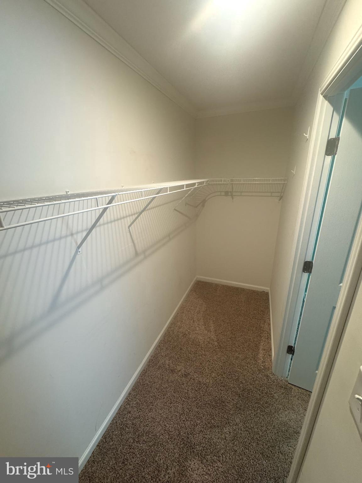 VILLAGE GREEN - Residential