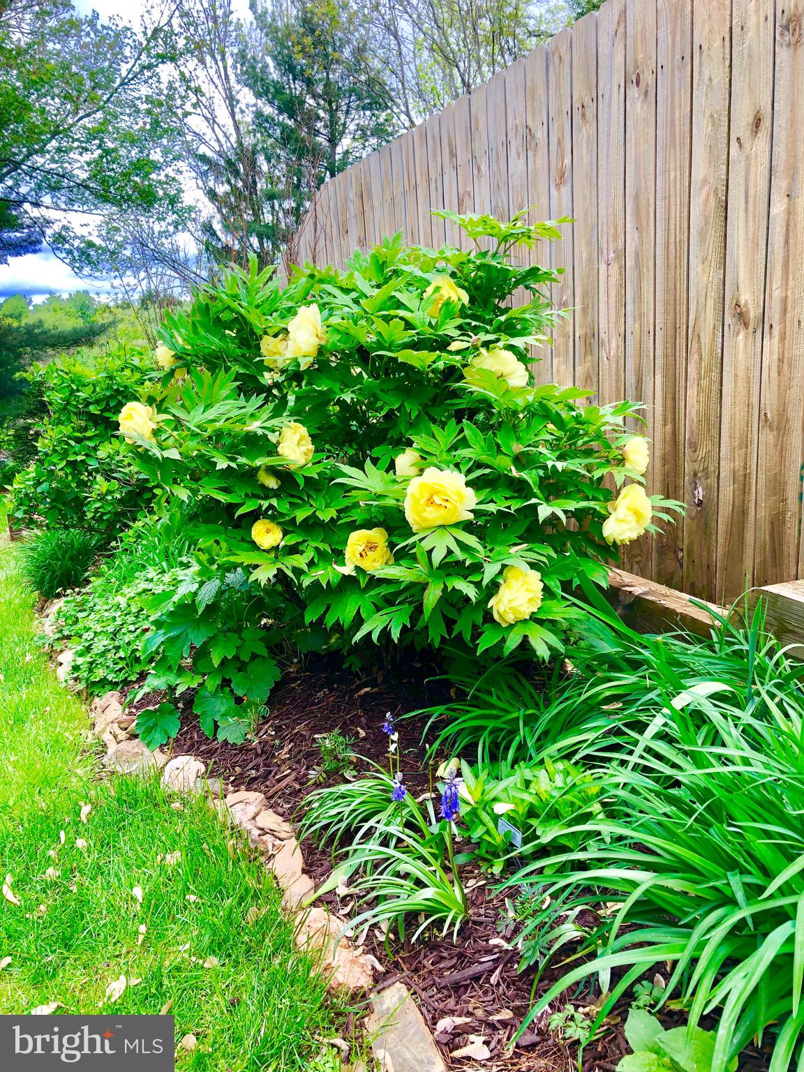 DALLASTOWN - Residential