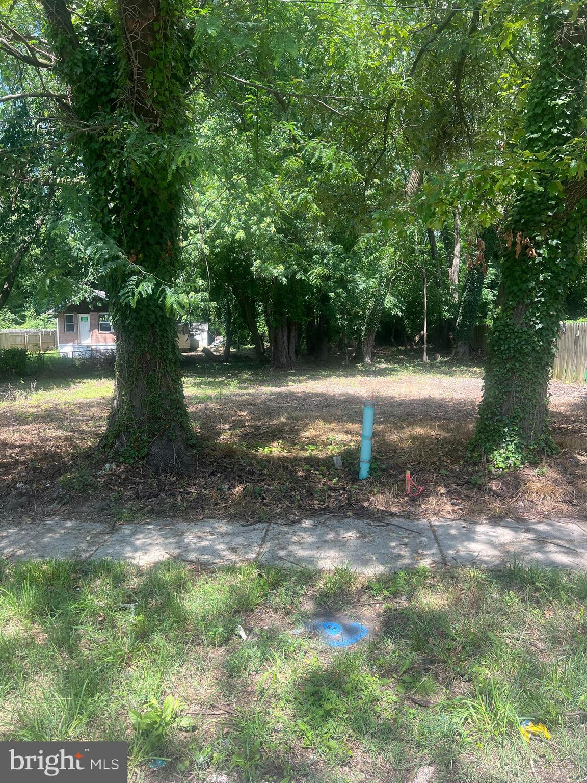 4810 LEROY GORHAM DRIVE