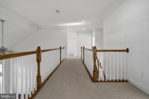 listing image 38