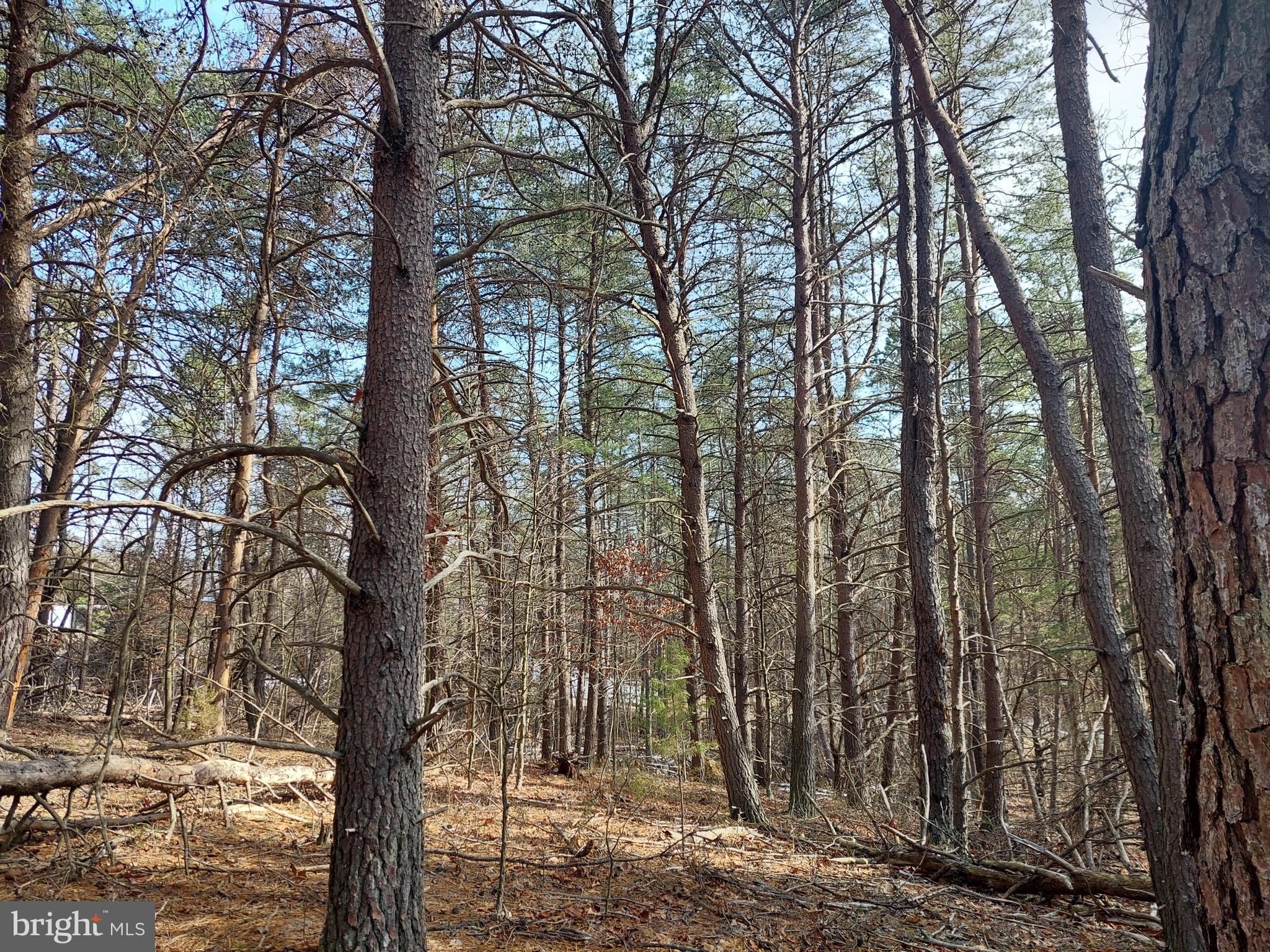 HIGH MOUNTAIN MEADOWS - Land