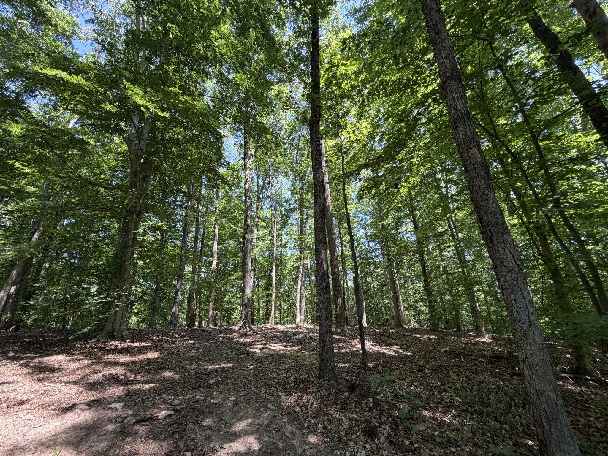Lot 4A PARRISH ROAD