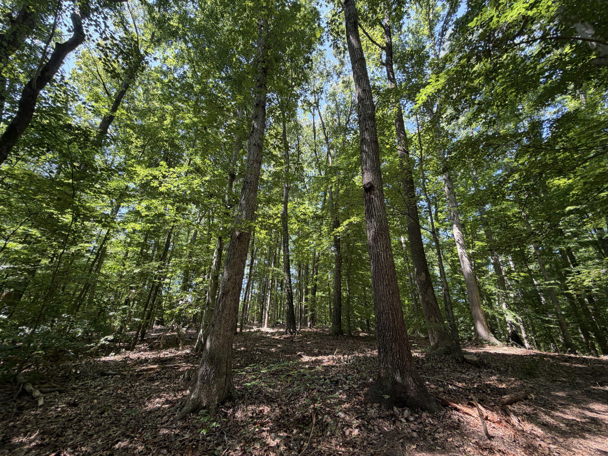 Lot 4A PARRISH ROAD