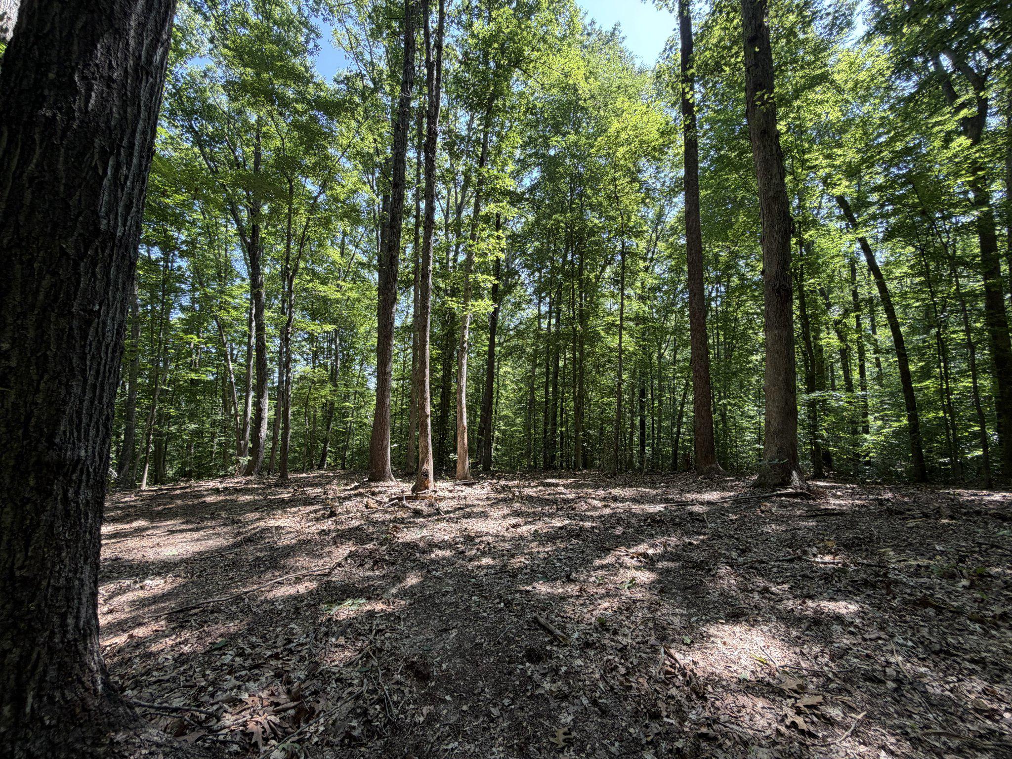 Lot 4A PARRISH ROAD