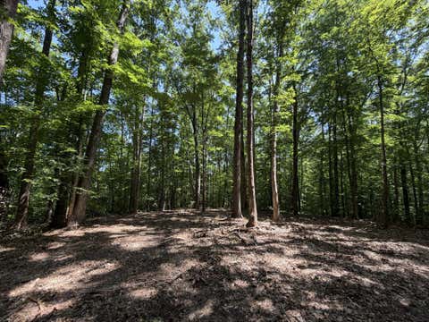 Vacant Land For Sale - LOT 4A Parrish Road<br/> Louisa County, LOUISA, VA 23093