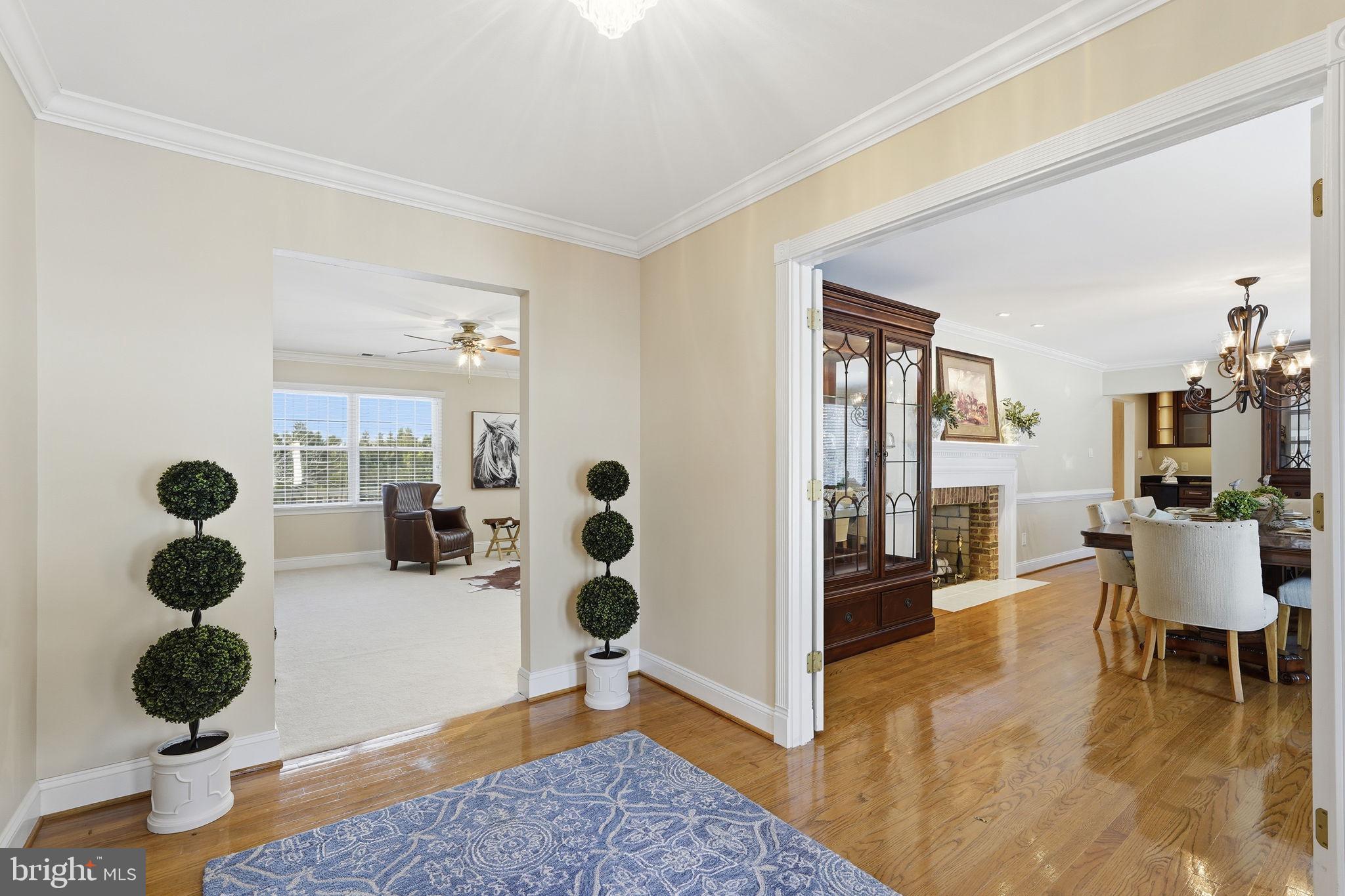 KALNASY - Residential