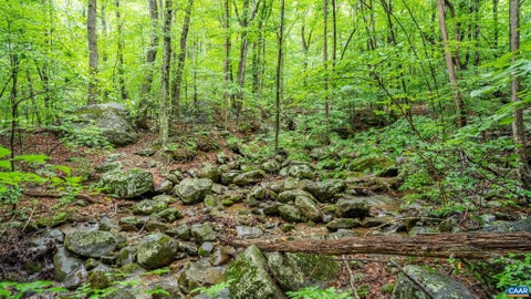 Vacant Land For Sale - 1509 Spruce Creek Ln Ln<br/> Nelson County, NELLYSFORD, VA 22958