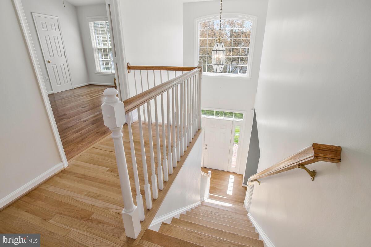 TWELVE OAKS - Residential