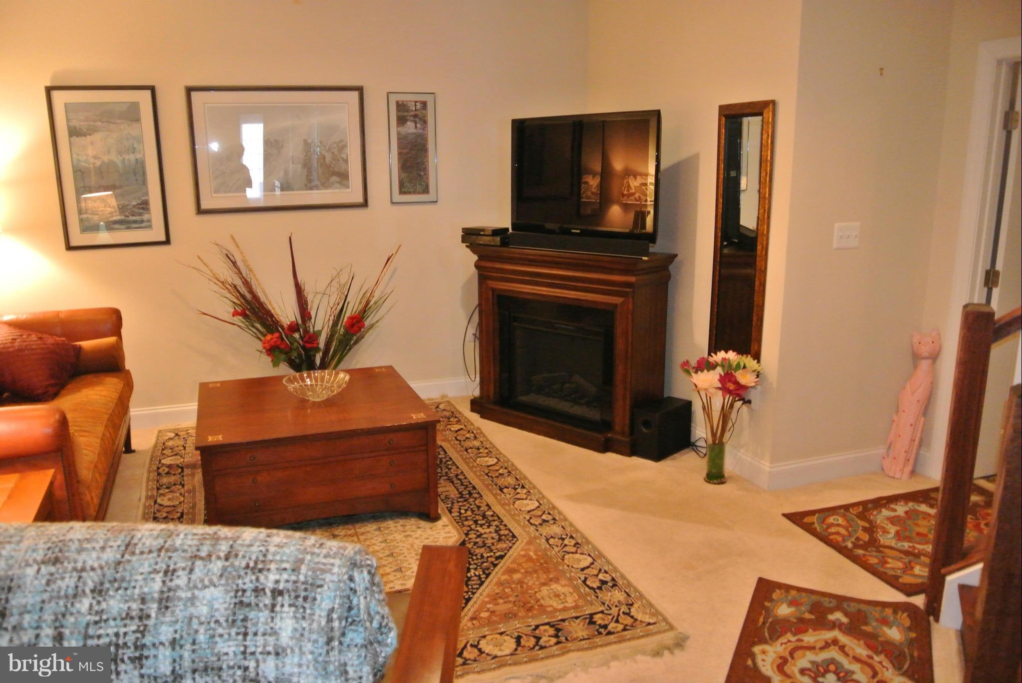 THE VILLAGES OF STEEPLEC - Residential