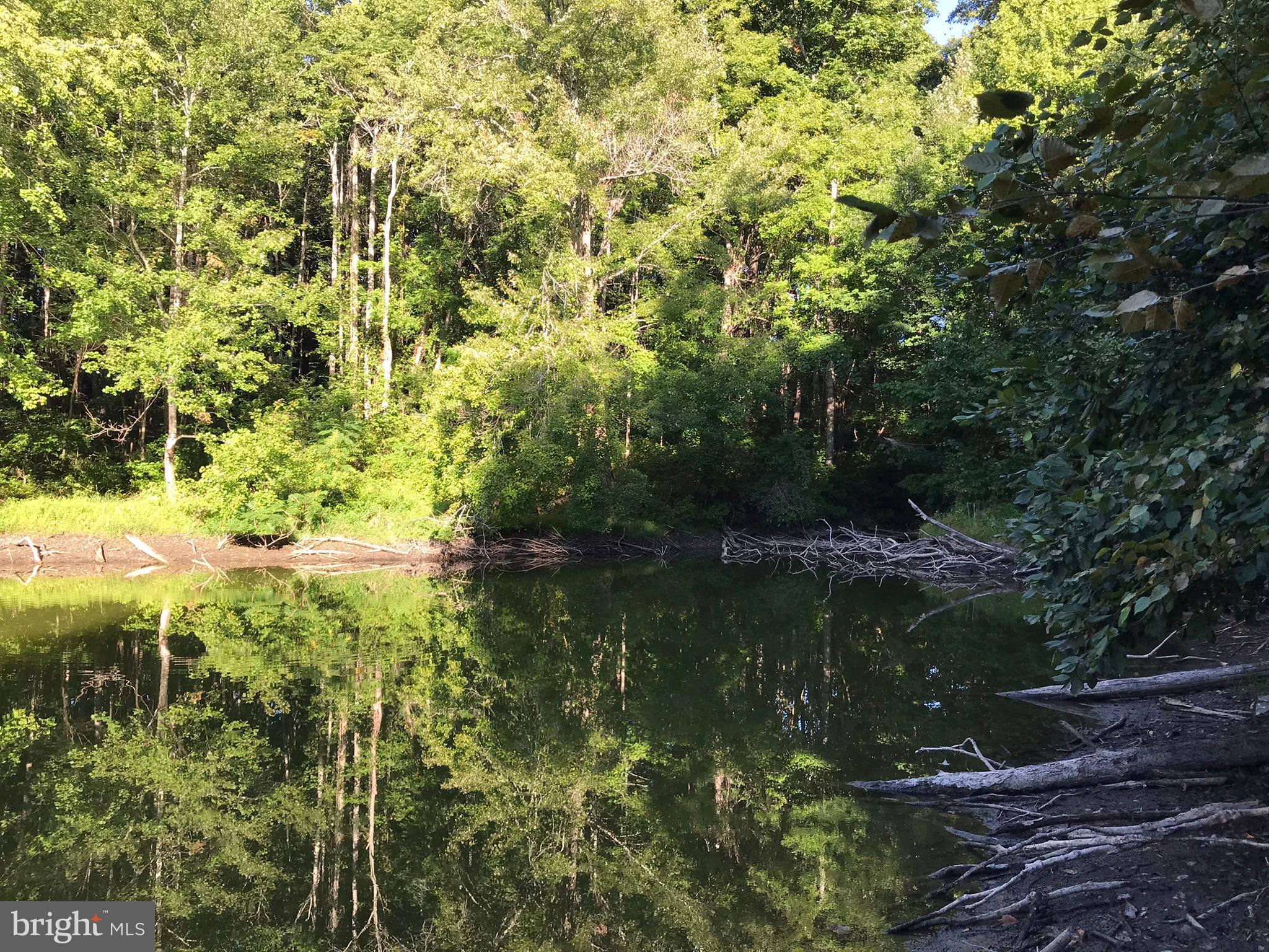 TBD RICEVILLE ROAD LOT 1