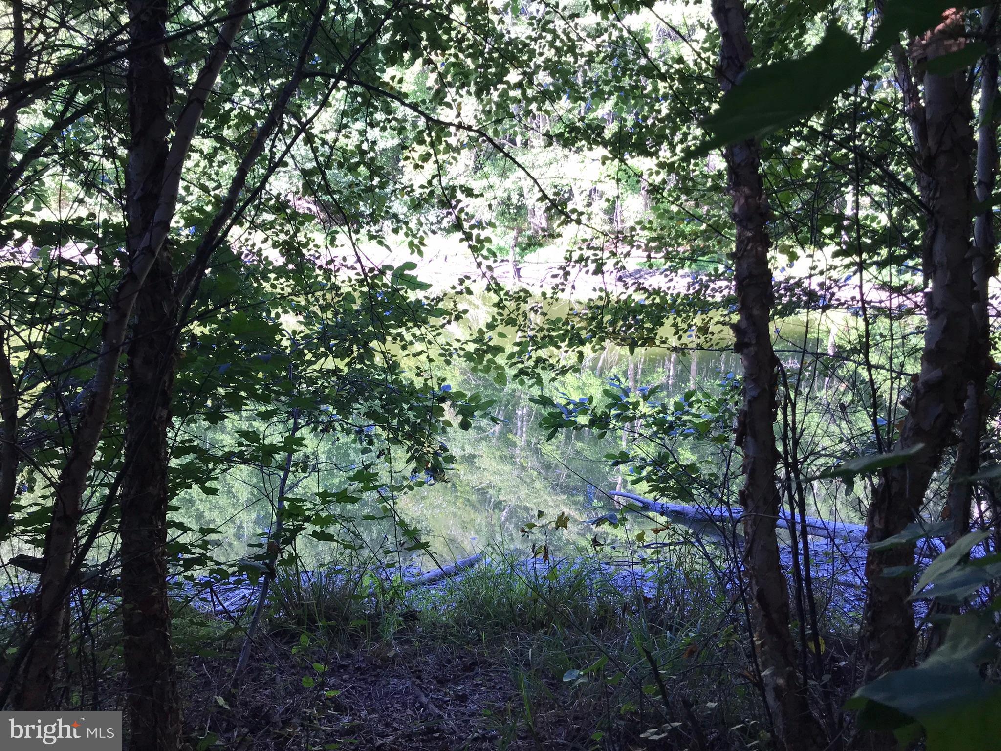 TBD RICEVILLE ROAD LOT 1