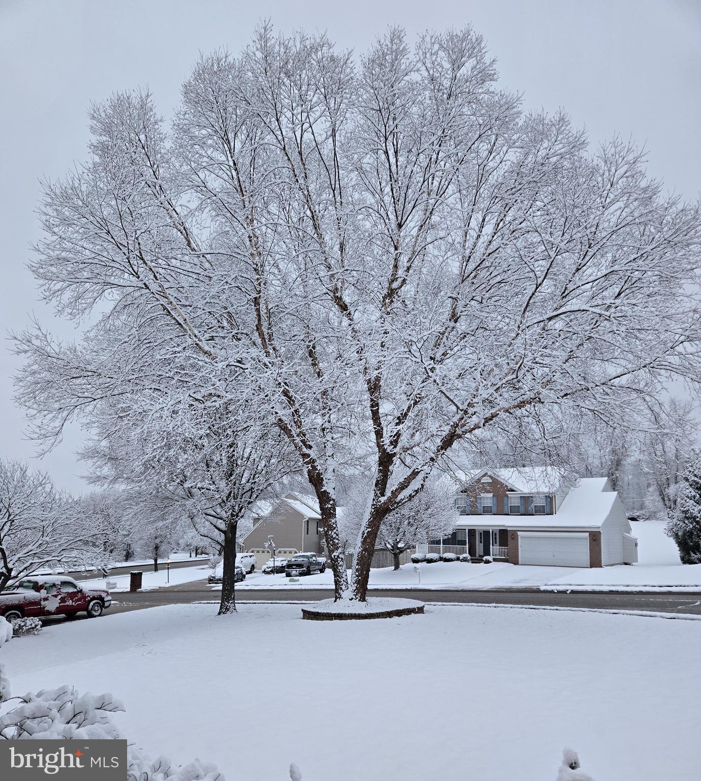 FOREST LAKES - Residential