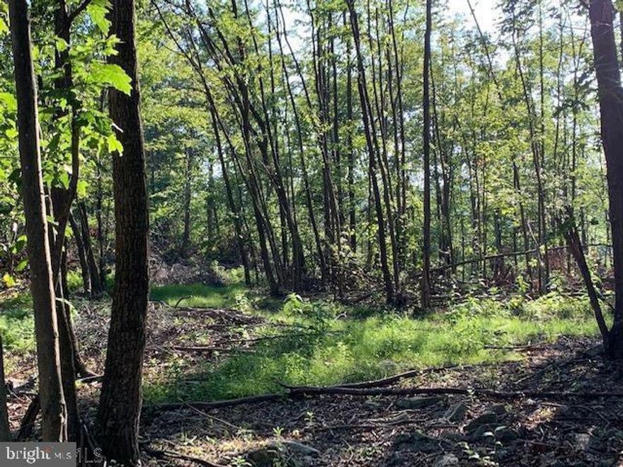 This property offers you excellent deer hunting, a great place for four-wheelers, with already built trails and roads. Close to Lake Raystown for your boating enjoyment. Just over the hill to the Juniata River for canoeing,kayaking and fishing. The biking tail is just moments away. For the outdoor enthusiast this is a perfect property. This property has been perc'd and has electric available.