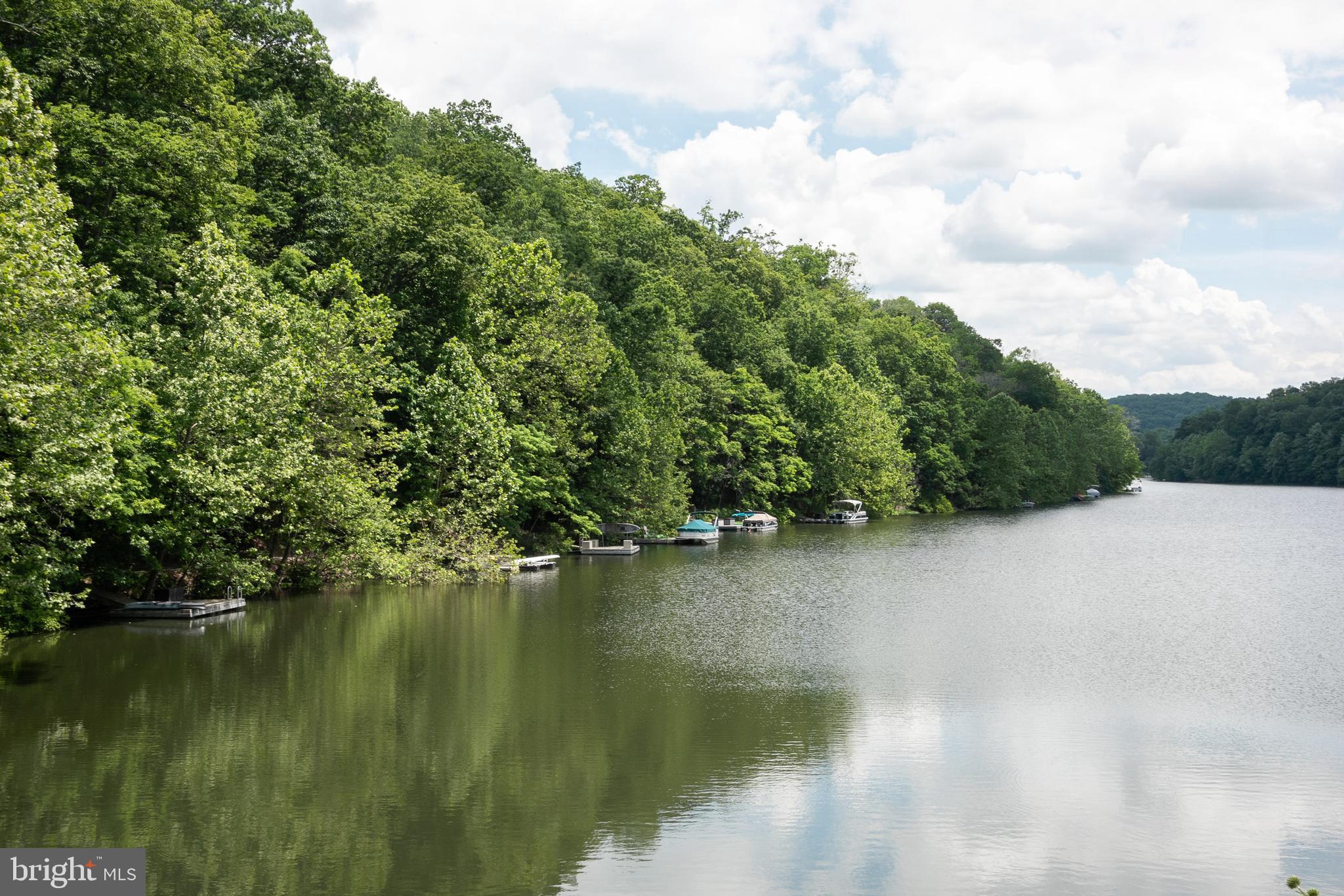 LAKE LINGANORE - Residential