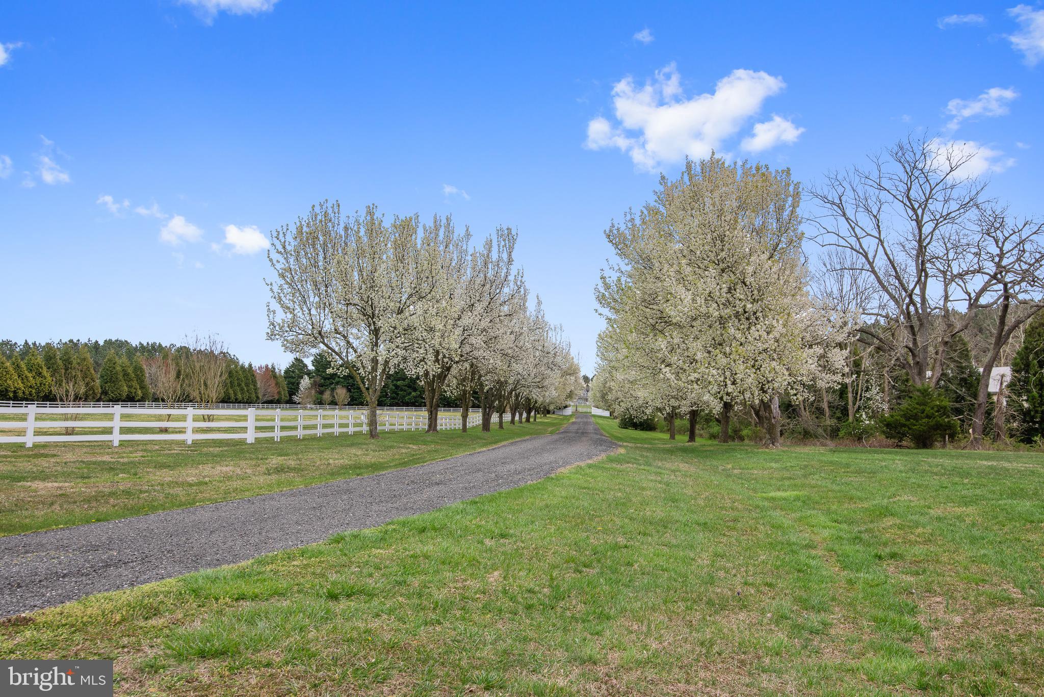 TRAPPE - Residential