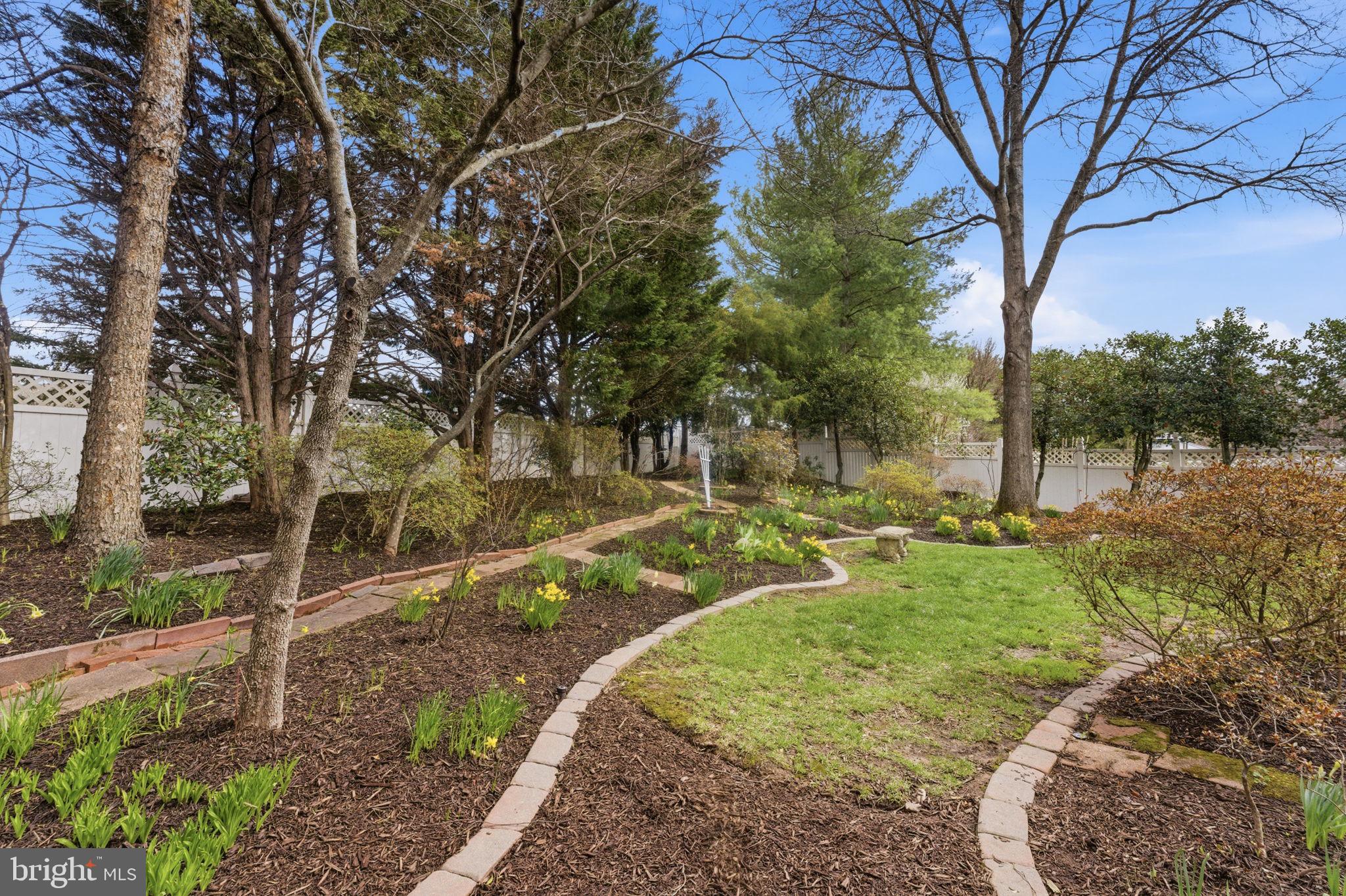 GAINESVILLE - Residential