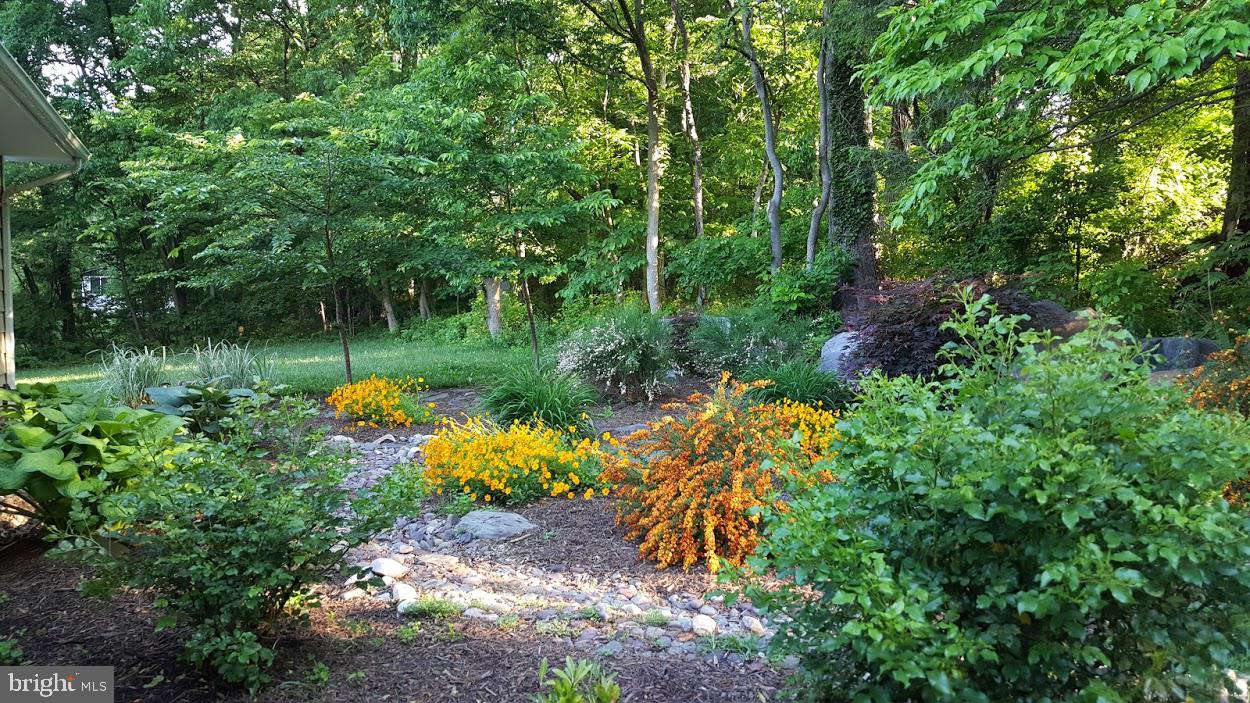 BLUE RIDGE ACRES - Residential