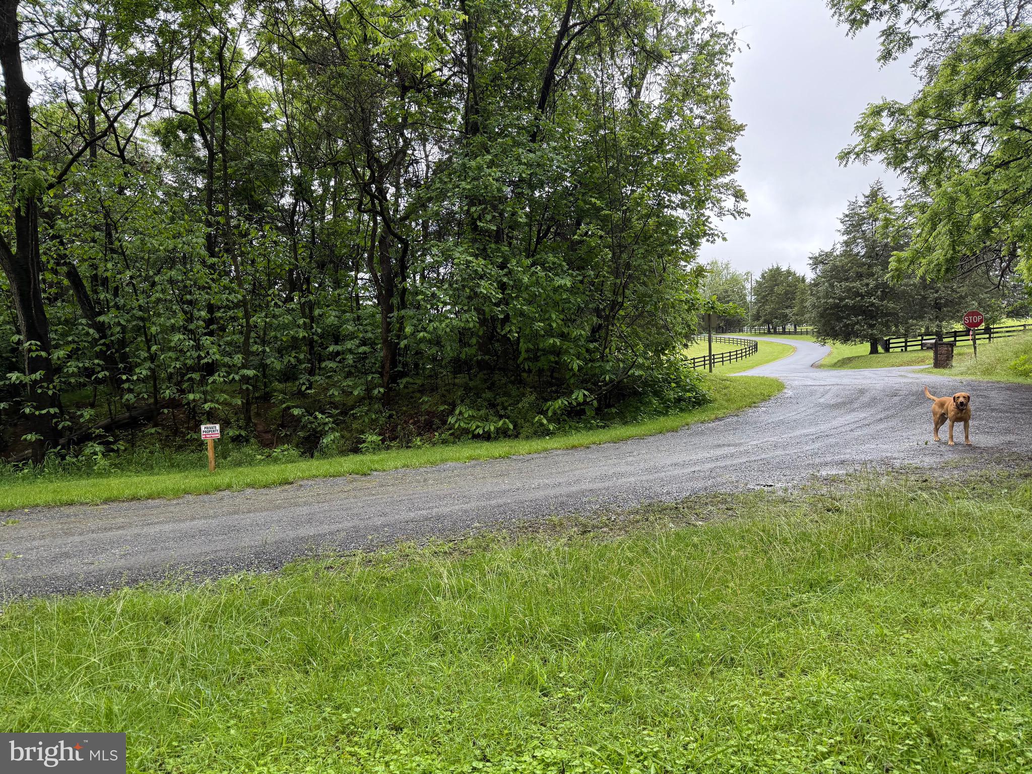 The Mays Farm Tract 2 is located on Mays Farm rd just off 221 in Forest. This property has an old well and septic and is perced additionally for a 5 bedroom conventional. There are also no restrictions or HOA fees. This property is no more than 2 minutes from the town of Forest and would make for a wonderful place to build a dream home