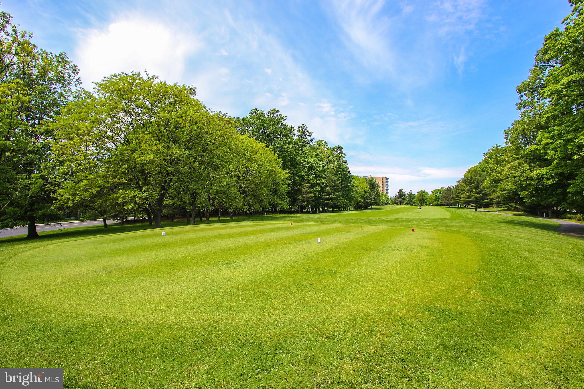 GREENS AT LEISURE WORLD - Residential