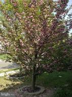 STONE RIDGE - Residential