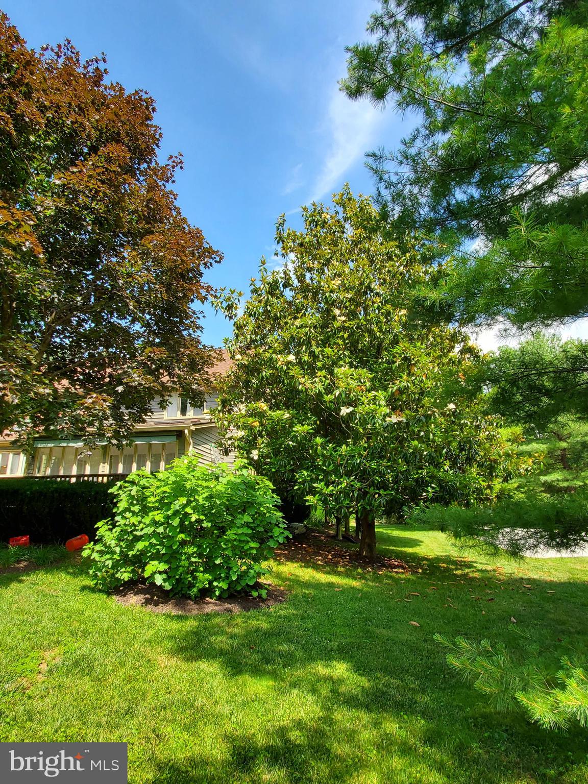 THE MEADOWS OF GREEN SPRING - Residential