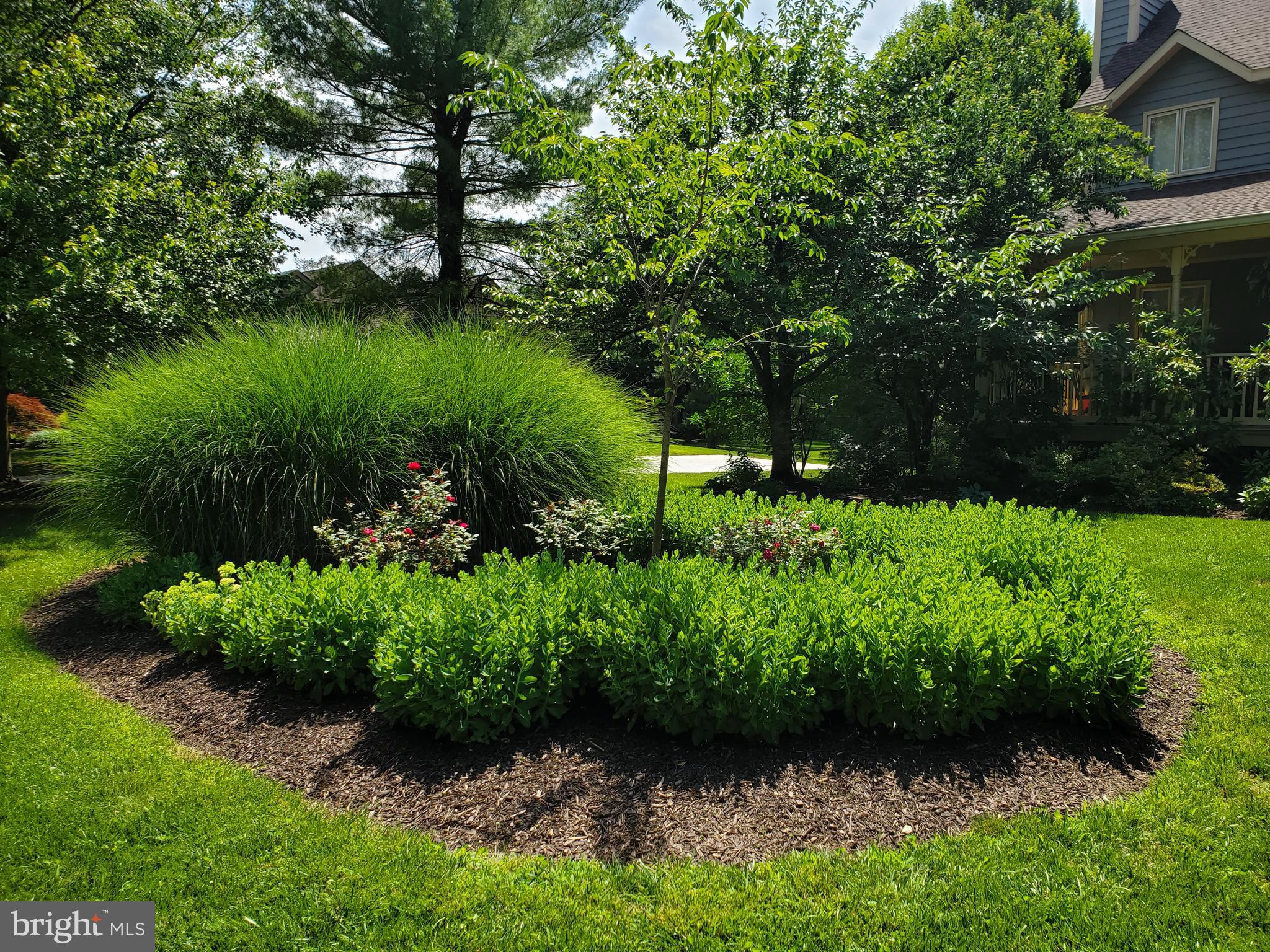 THE MEADOWS OF GREEN SPRING - Residential