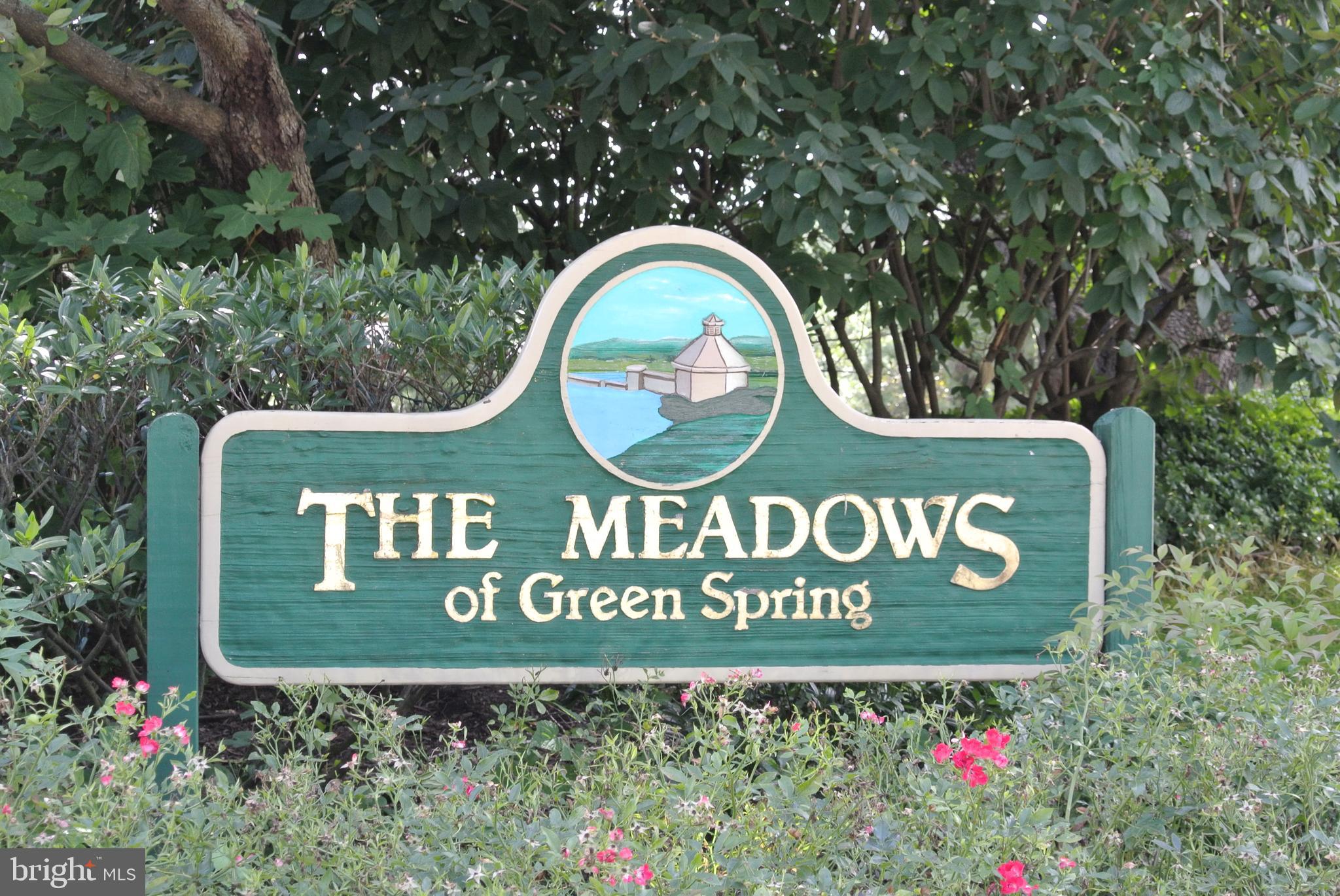 THE MEADOWS OF GREEN SPRING - Residential