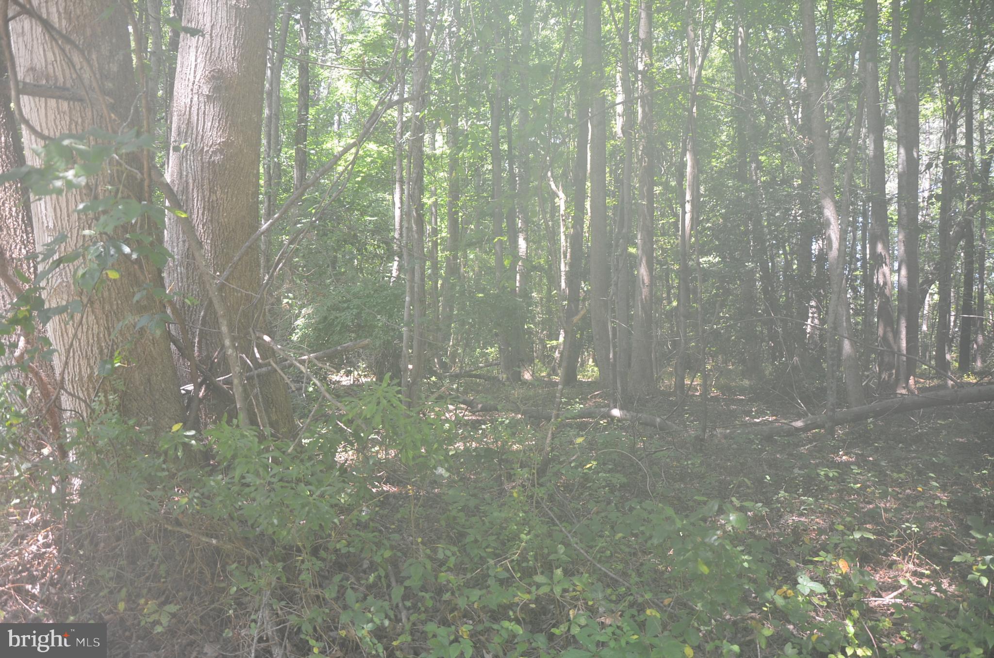 Lot 23 PRENTICE POINT DRIVE