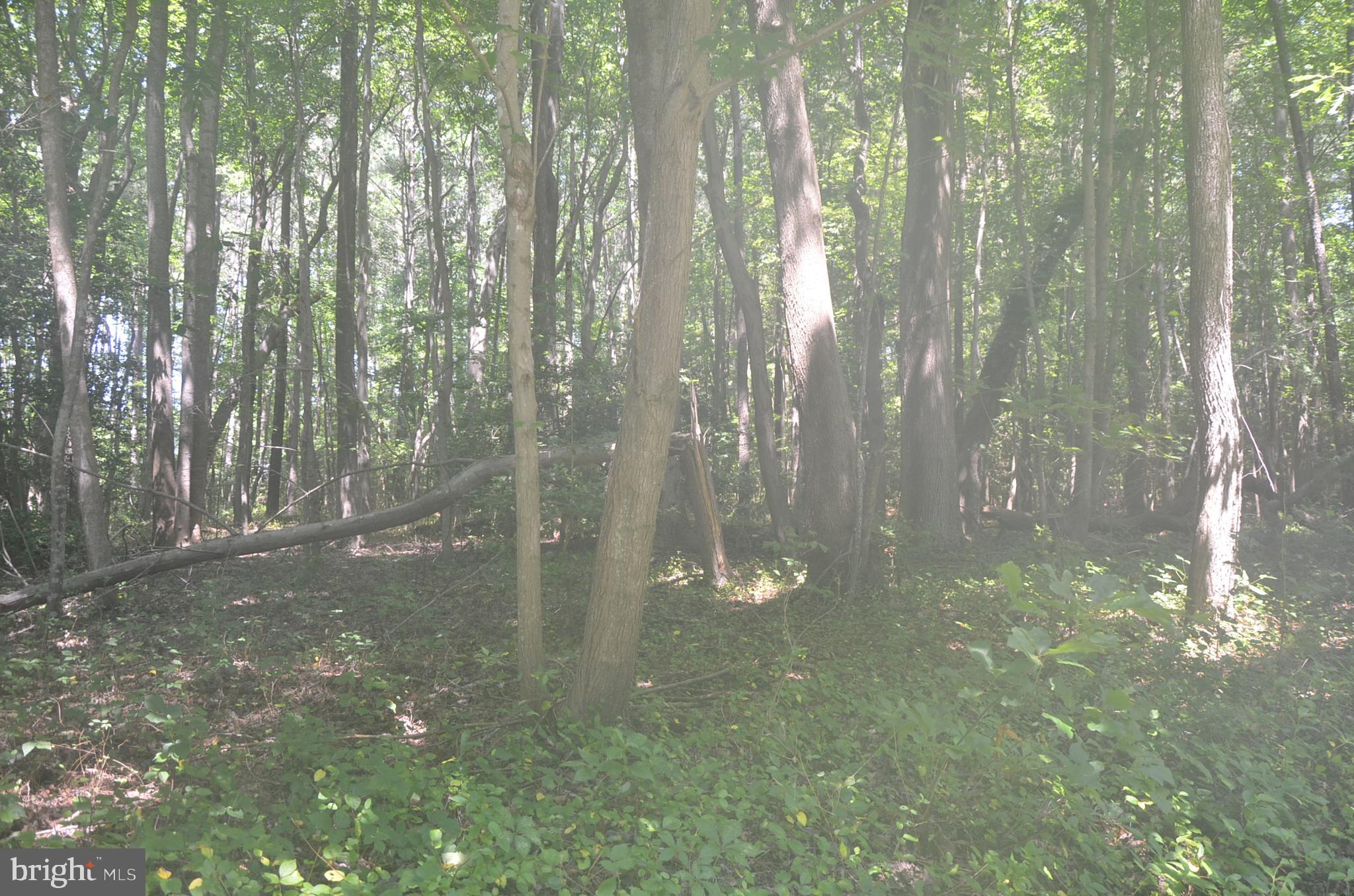 Lot 23 PRENTICE POINT DRIVE