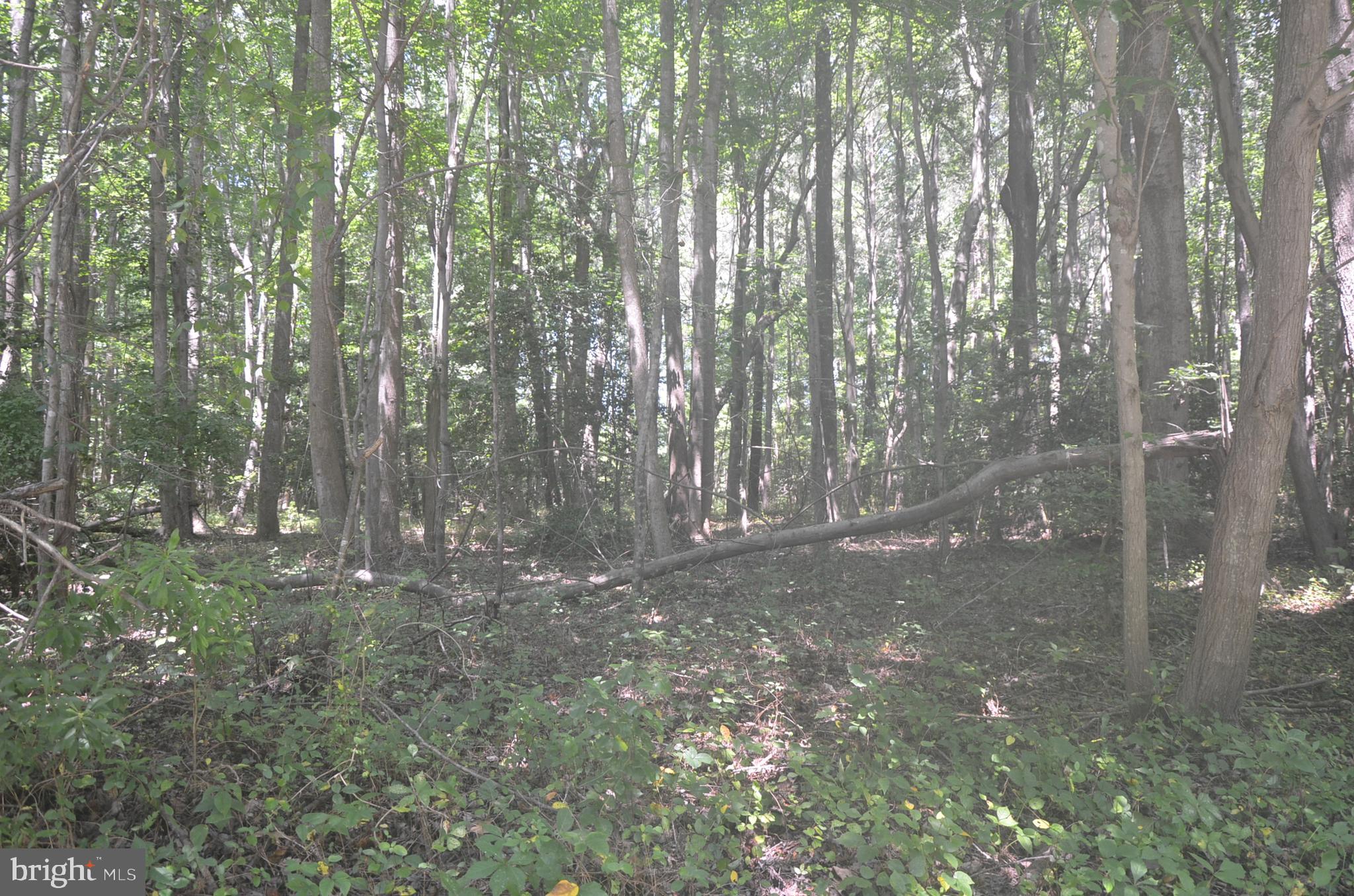 Lot 23 PRENTICE POINT DRIVE