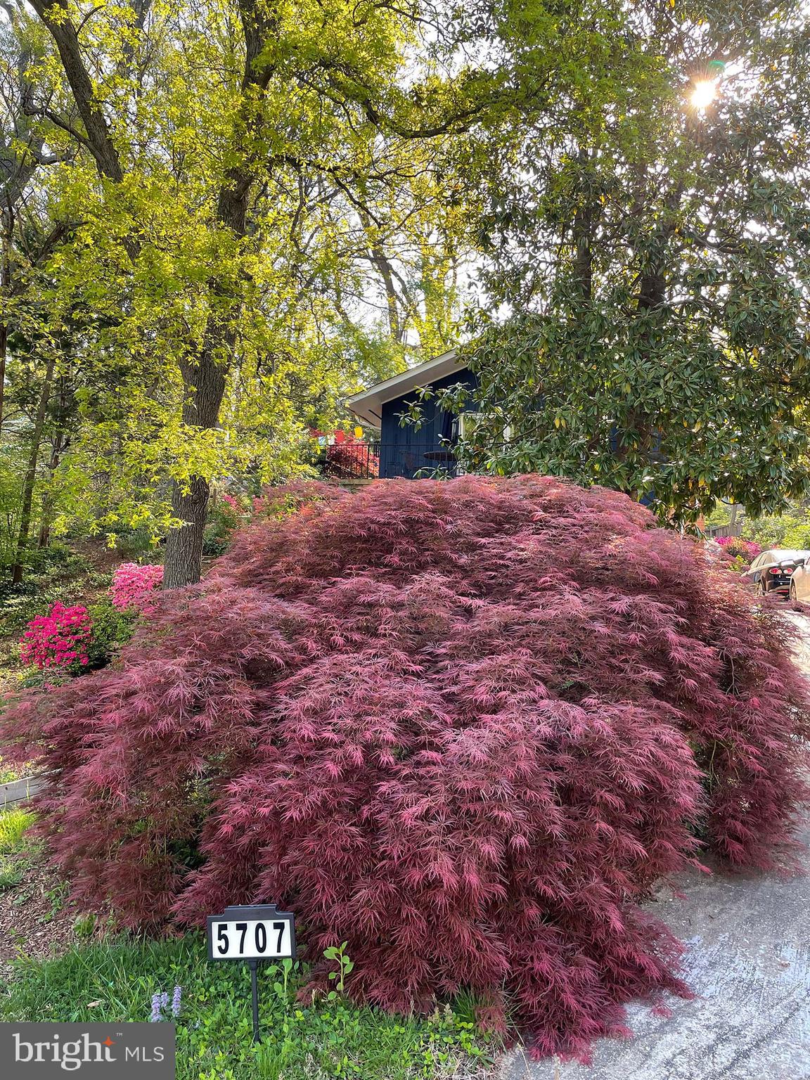 HICKORY KNOLL - Residential