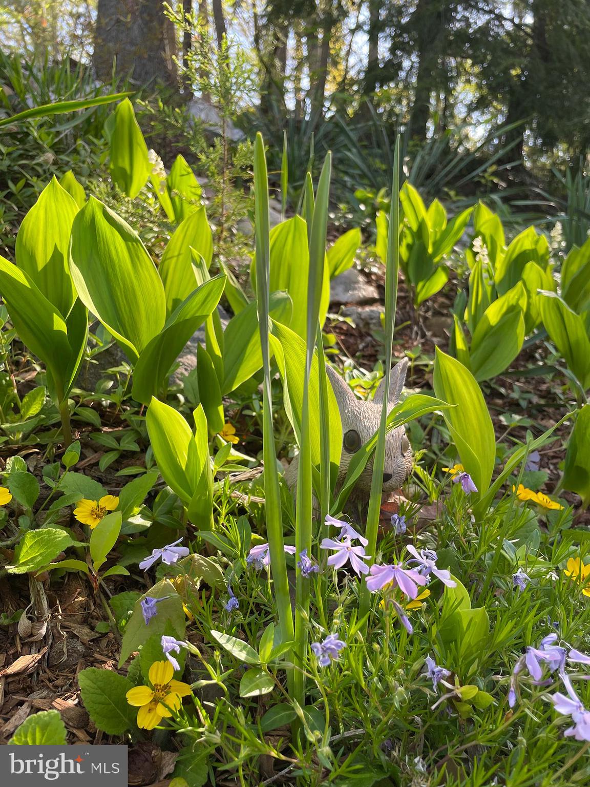 HICKORY KNOLL - Residential