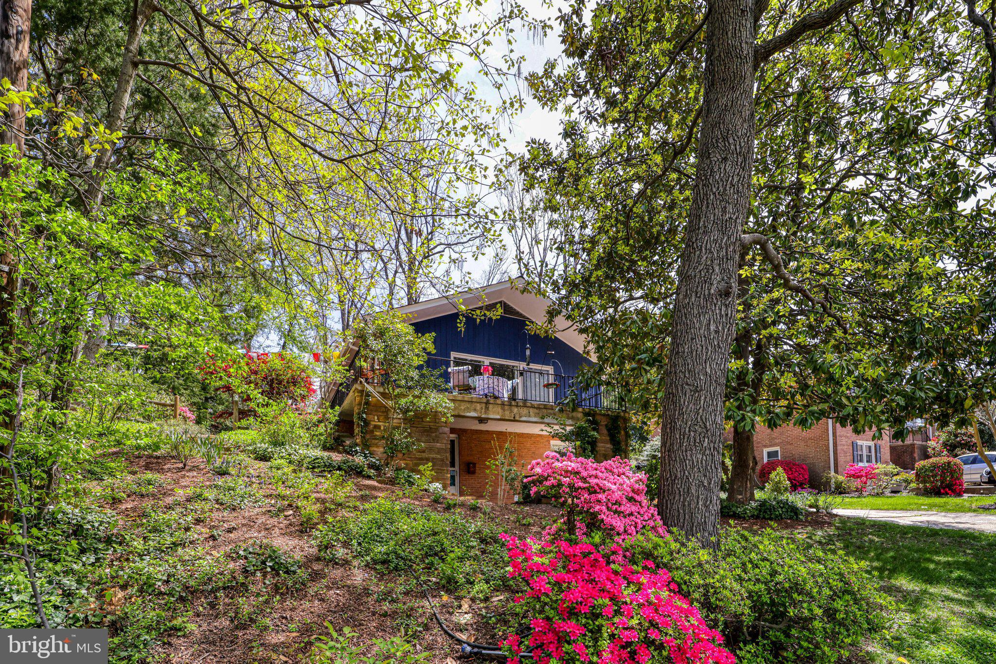 HICKORY KNOLL - Residential