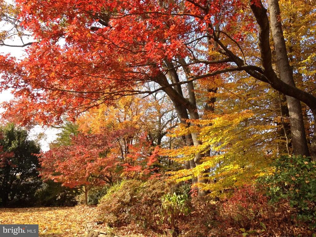 OVERBROOK - Residential