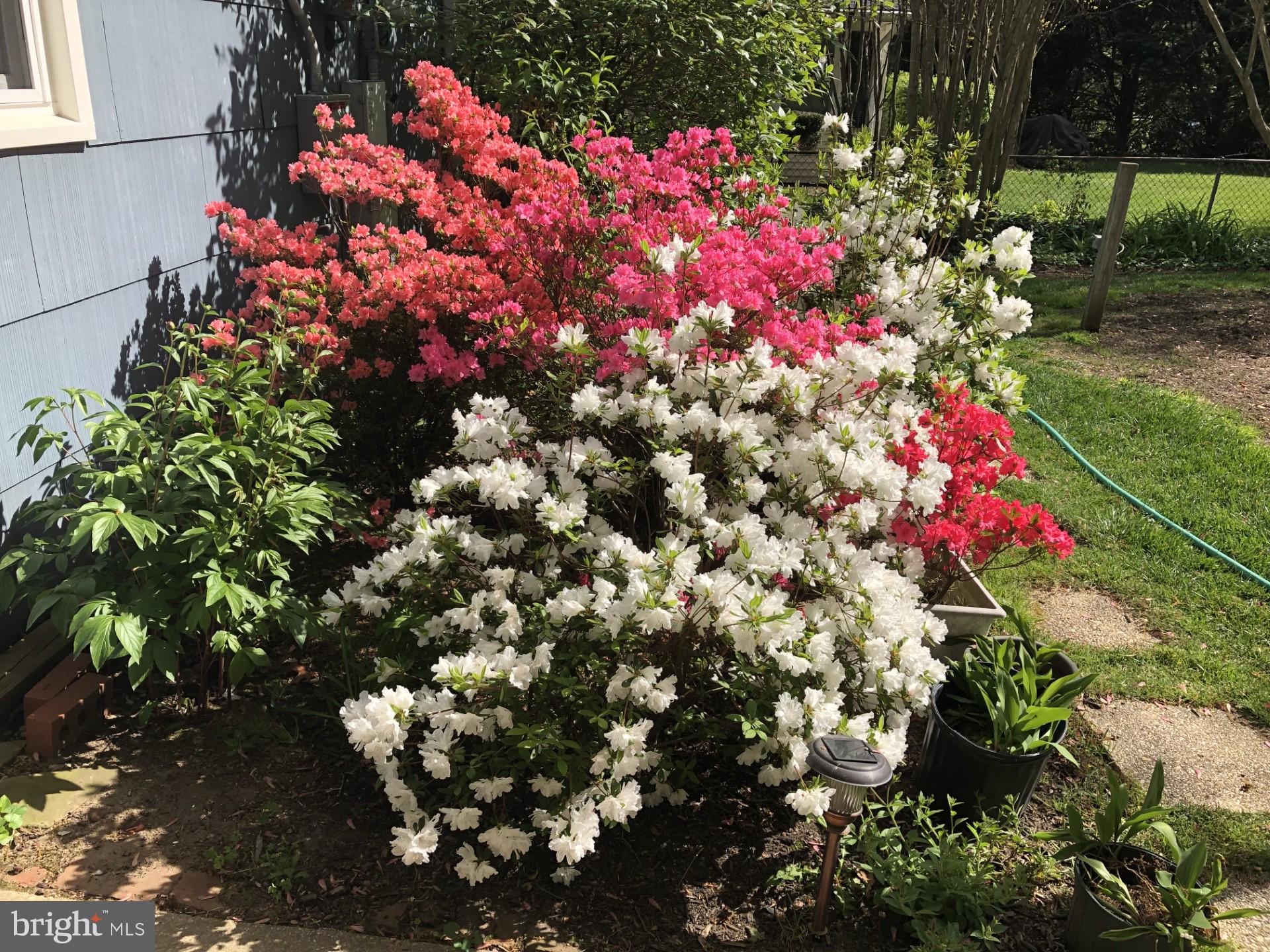 OVERBROOK - Residential