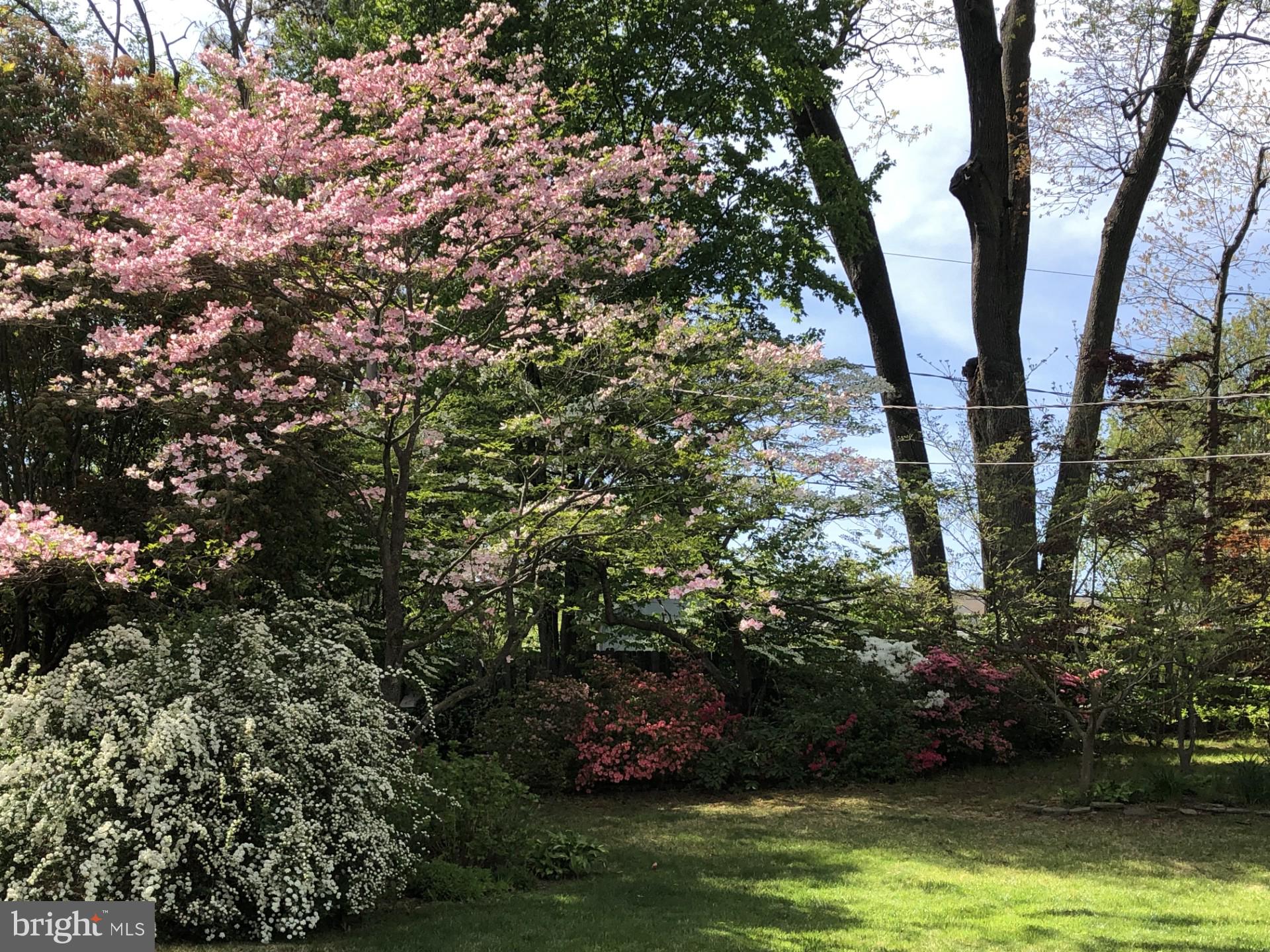 OVERBROOK - Residential