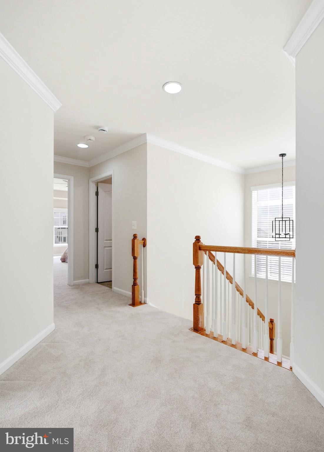 ELYSIAN HEIGHTS - Residential